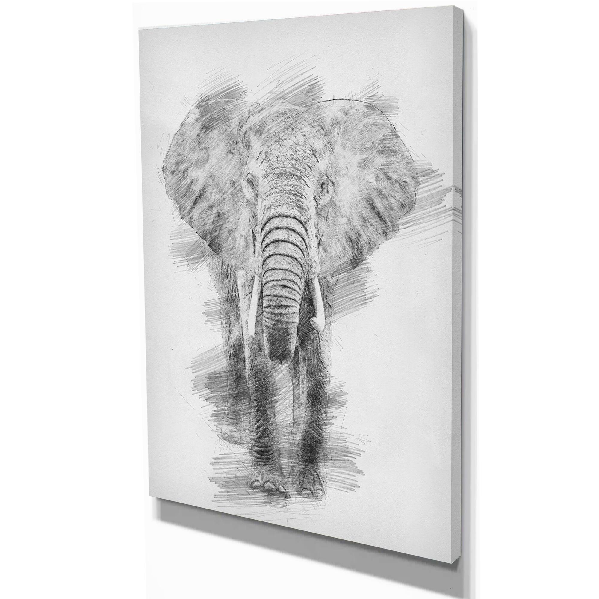 Designart - Black and White Elephant Pencil ketch