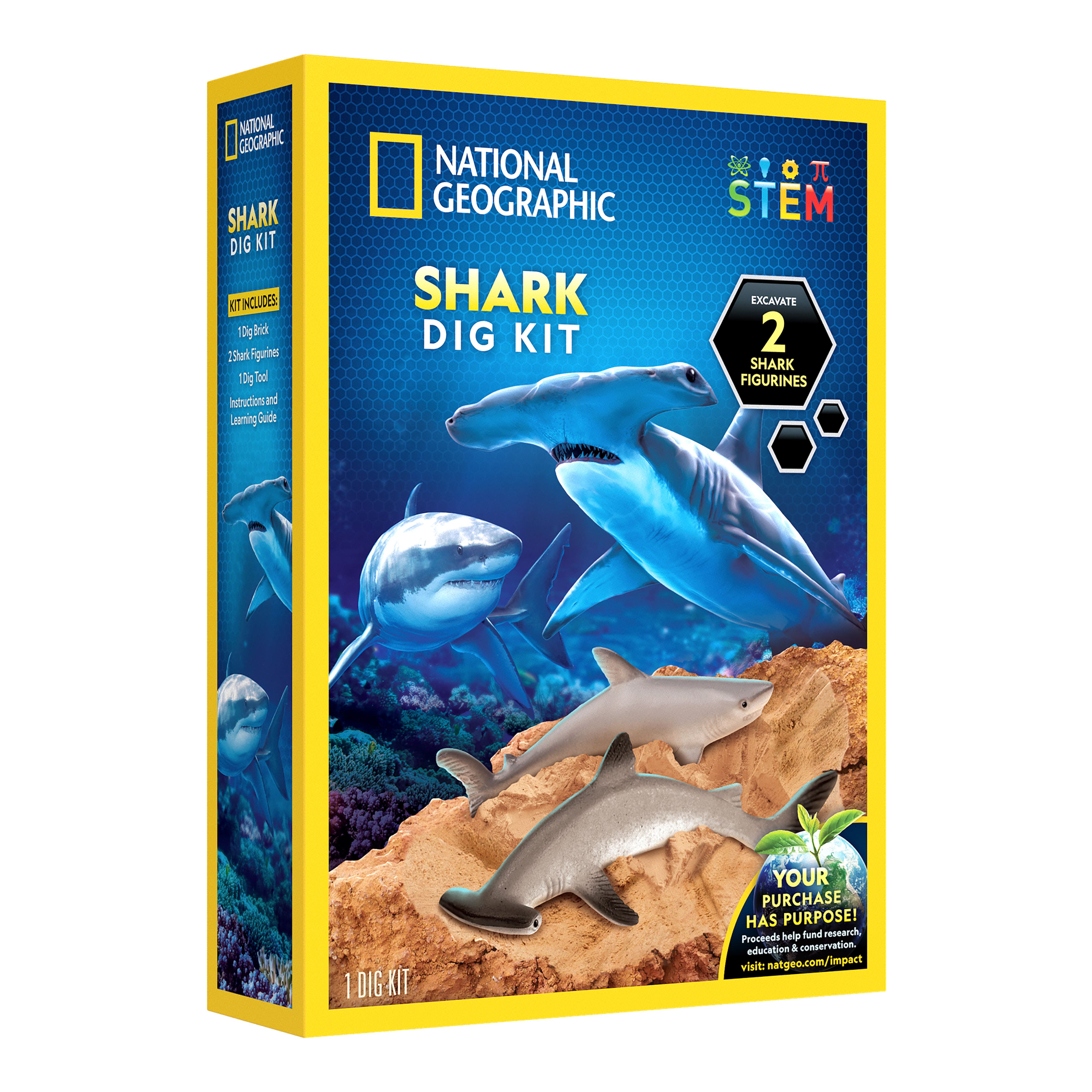 Trousse de fouille à thème de requin de National Geographic