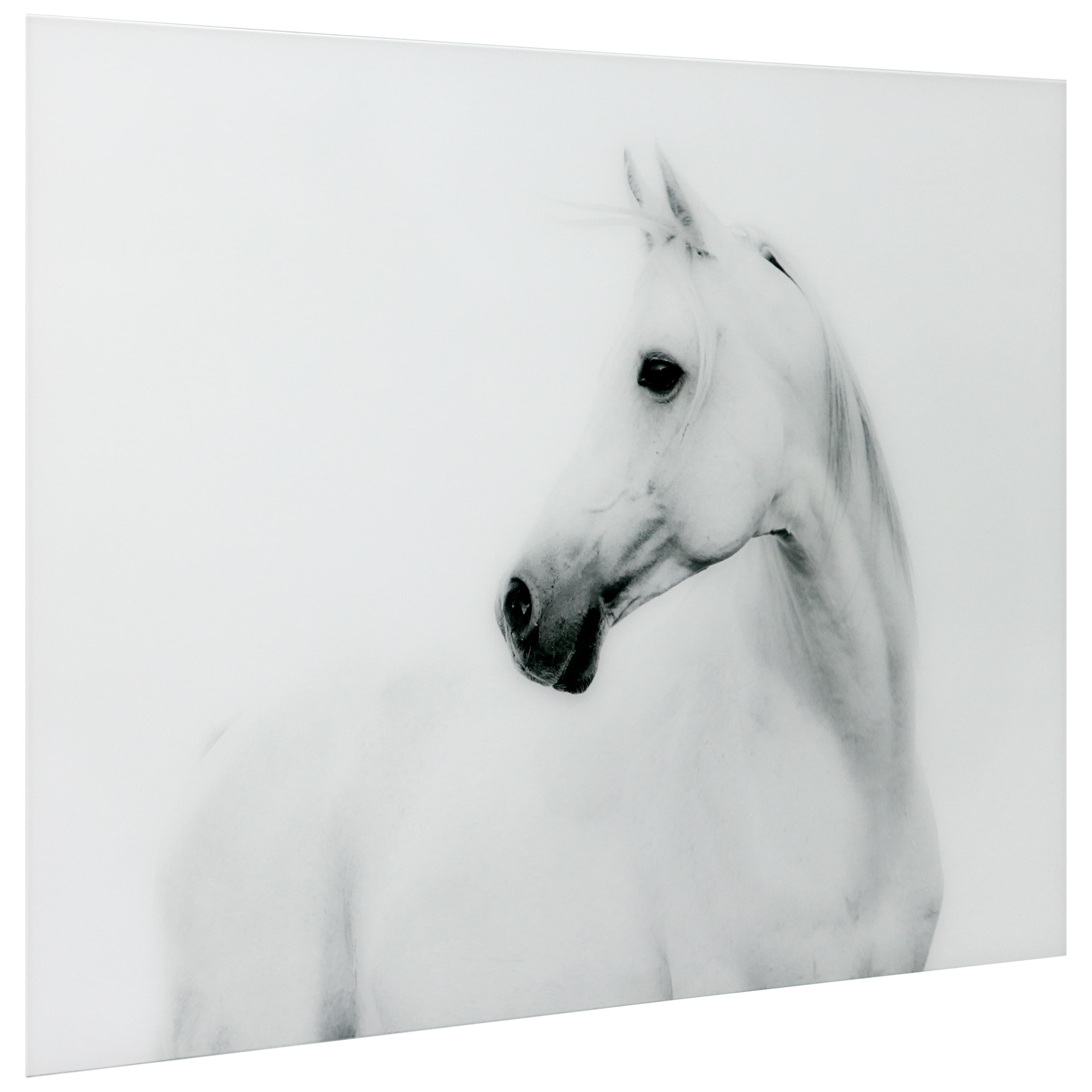 Empire Art Direct 48" x 32" Blanco Stallion Horse Frameless Printed Tempered Glass Wall Art