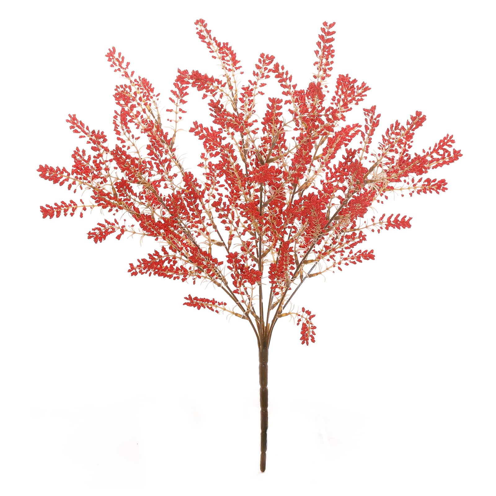 19" Berry Bush by Ashland