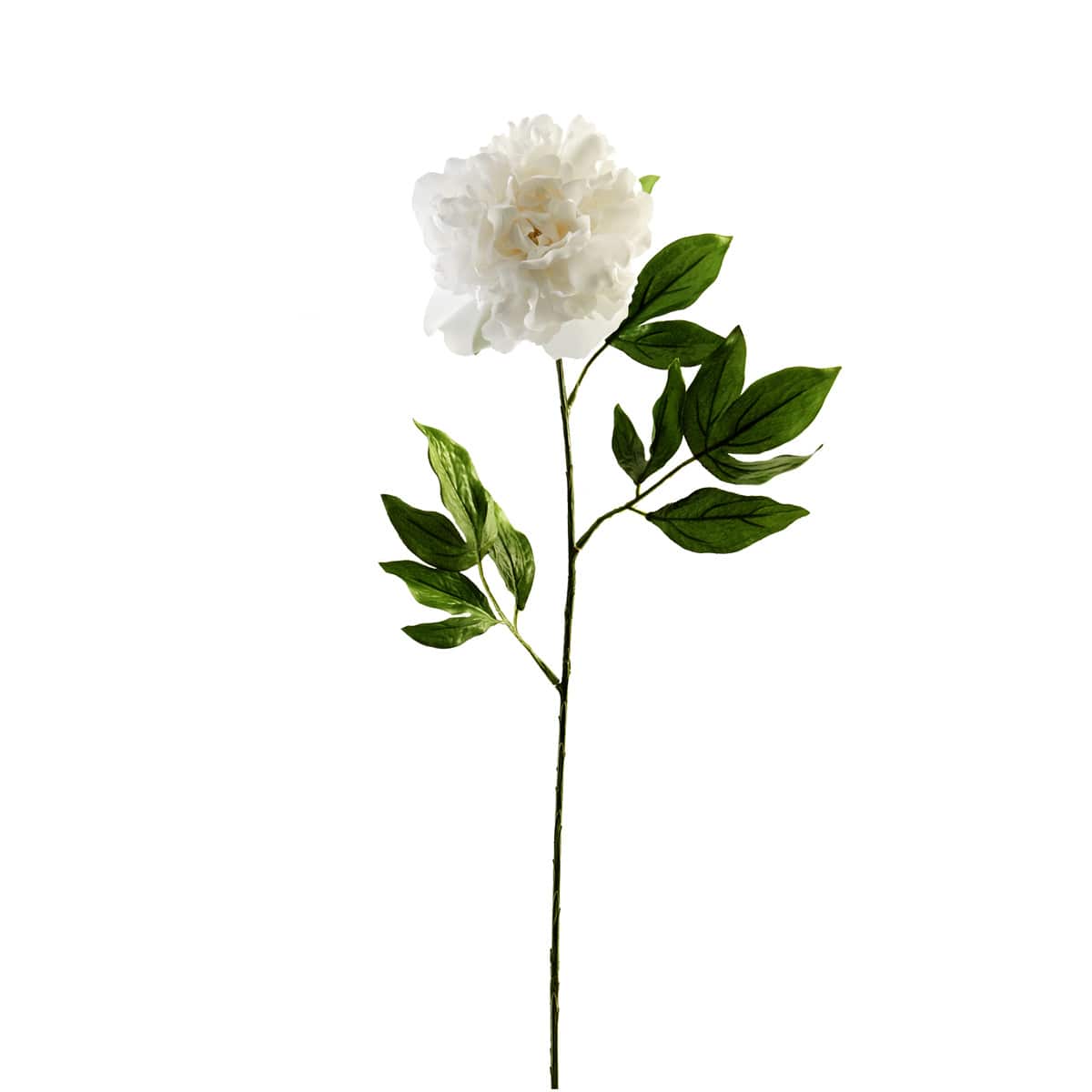 12 Pack: White Peony Spray by Ashland®