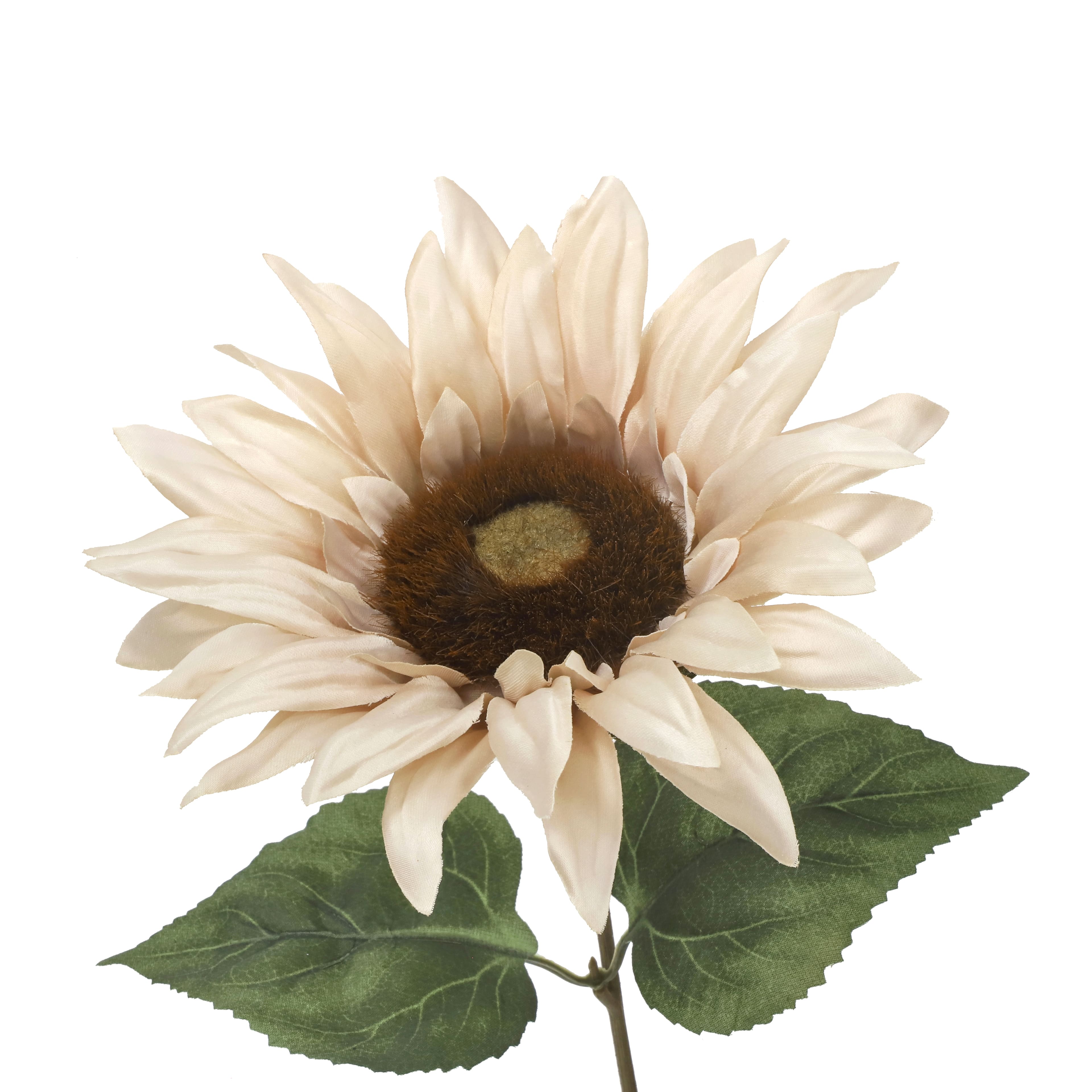 19" Cream Sunflower Bush by Ashland®