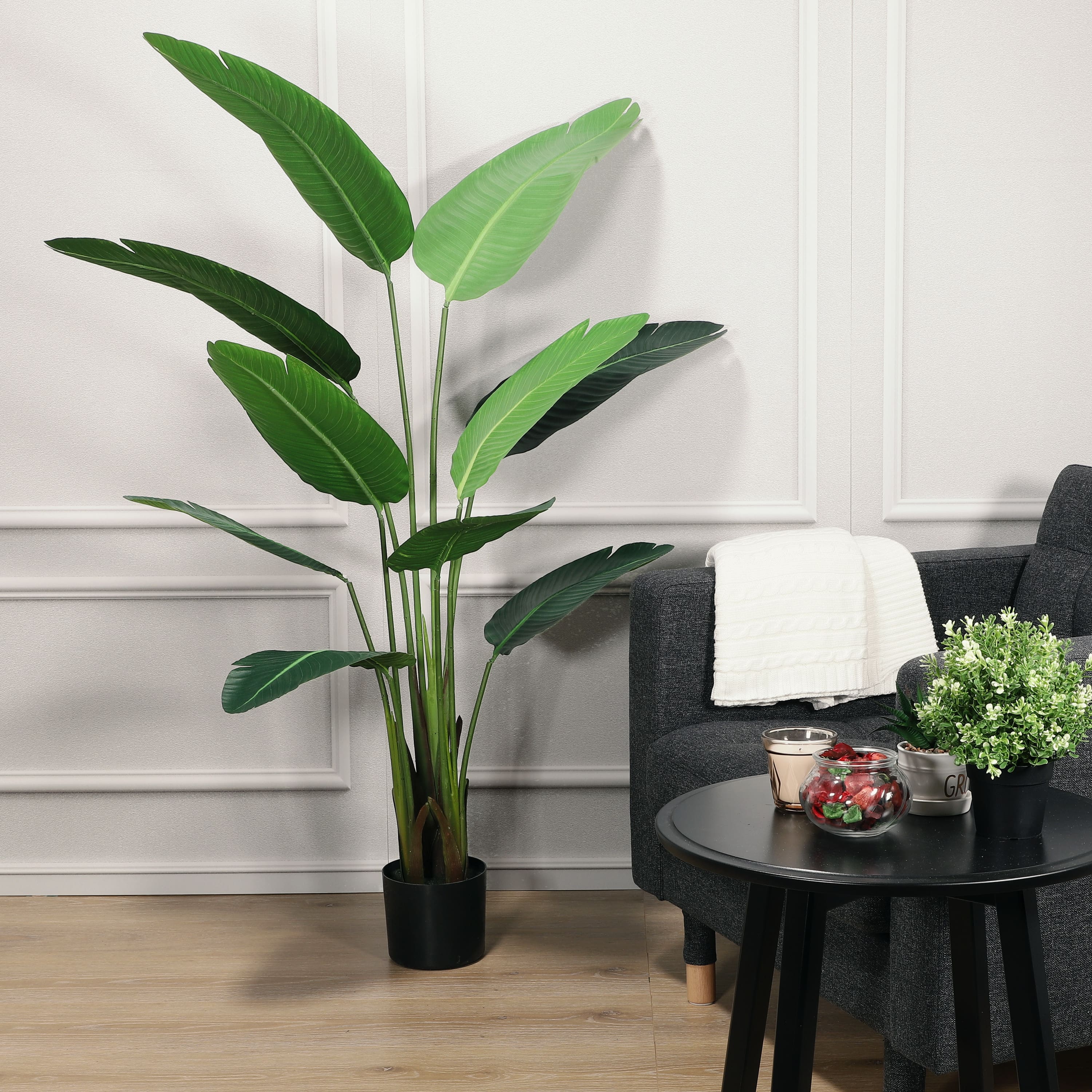 6 Pack: 5.5ft. Potted Travelers Palm Tree