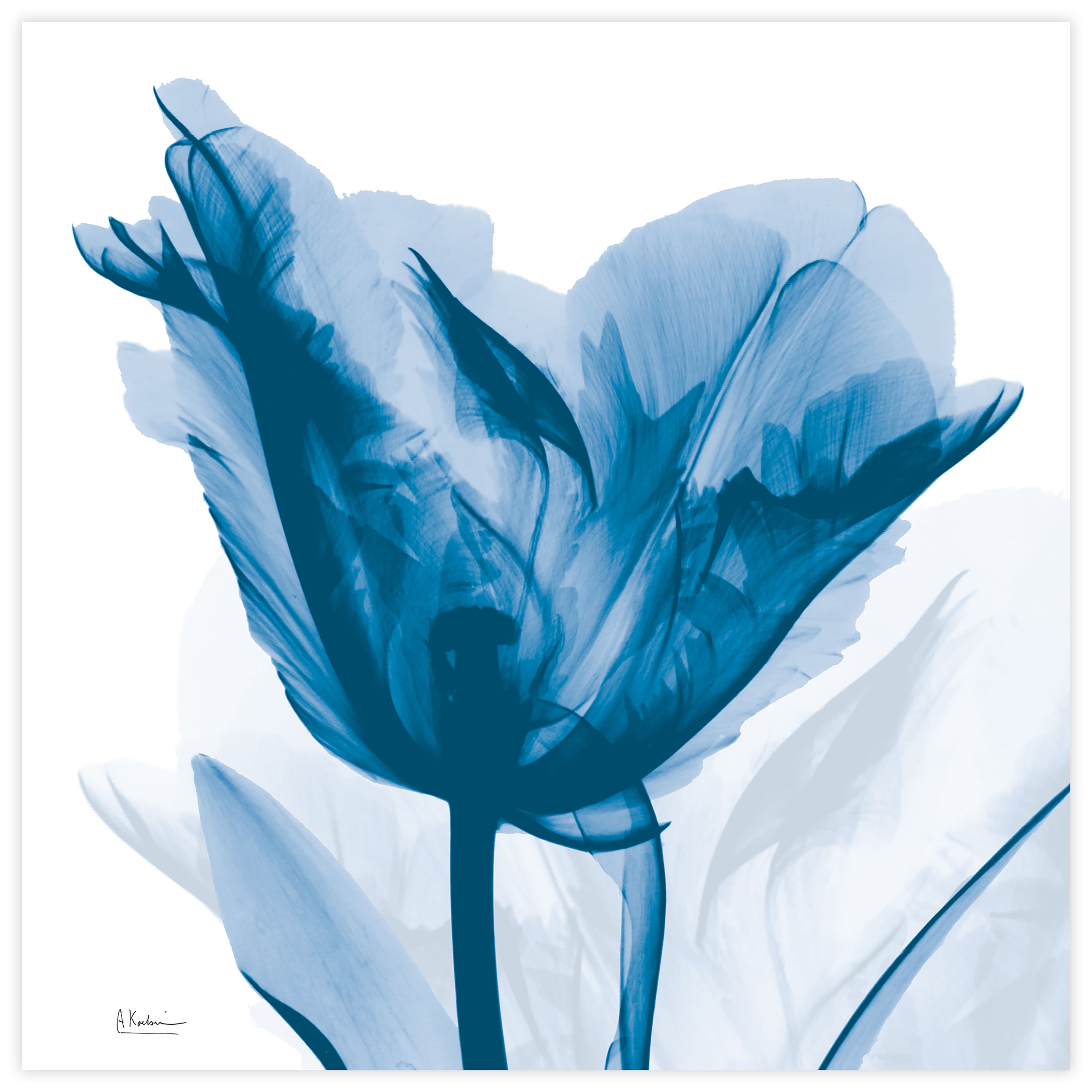 Empire Art Direct 24" x 24" Lusty Blue Tulip Frameless Free Floating Printed Tempered Glass Wall Art