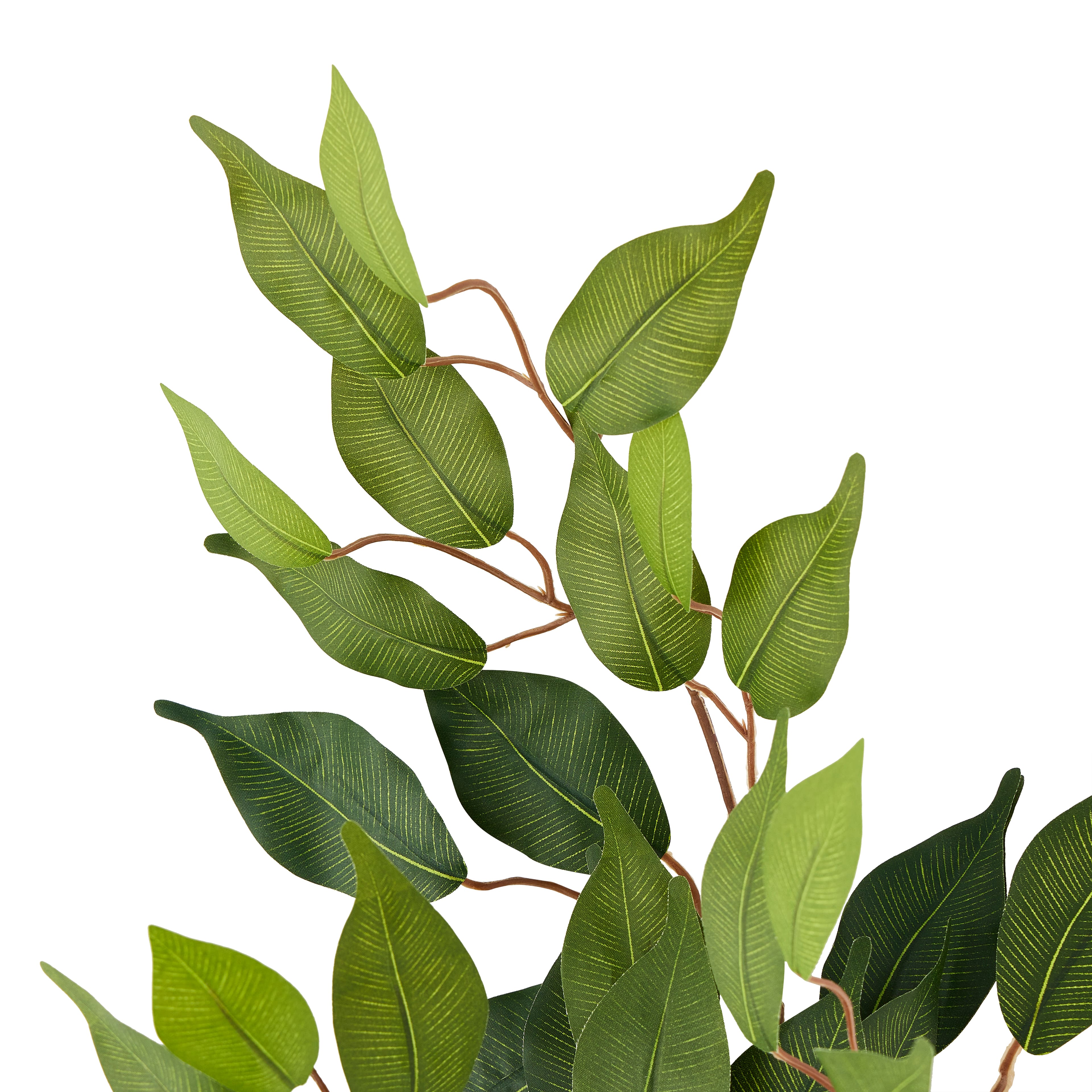 12 Pack: 23" Ficus Spray Floral Essentials by Ashland®