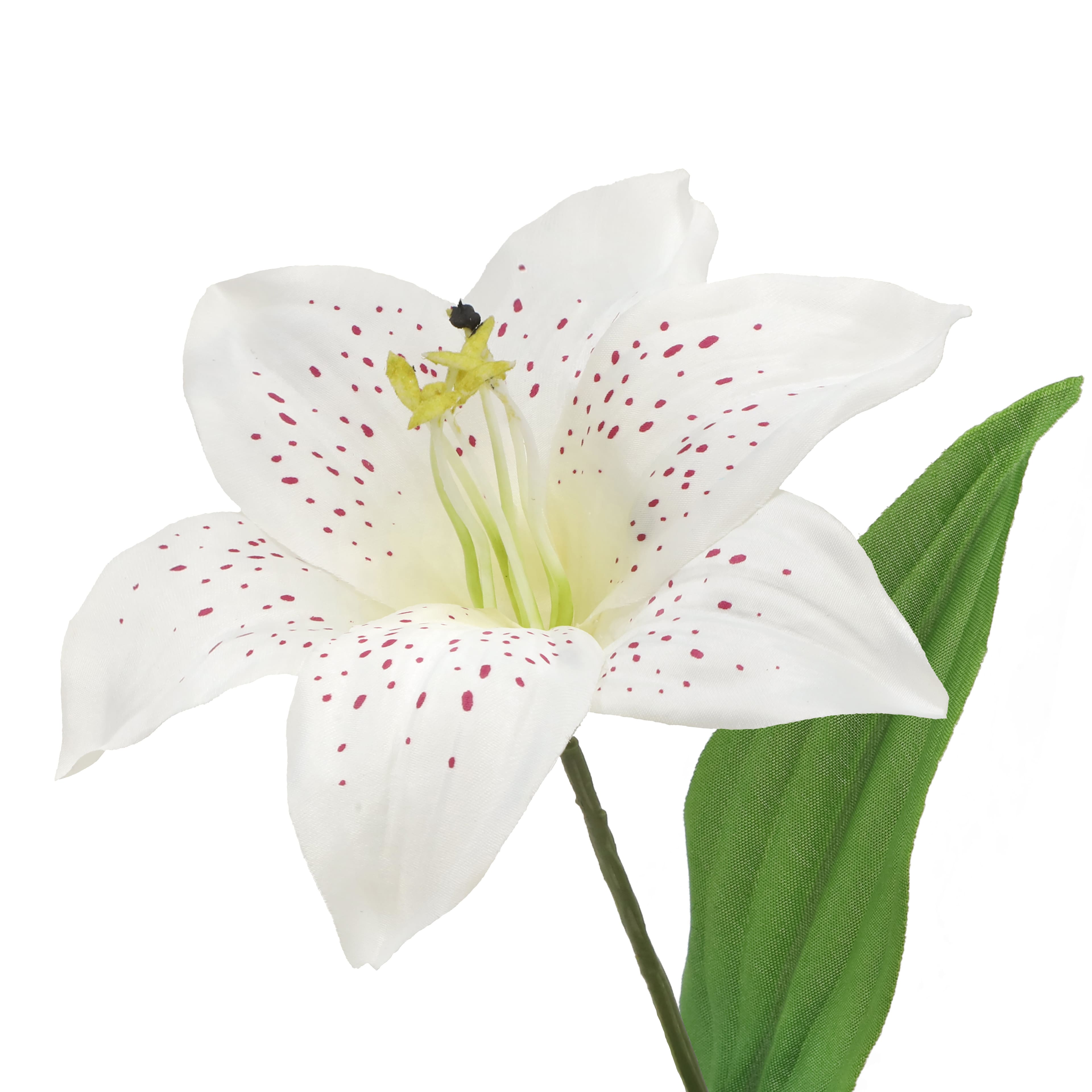 12 Pack: 21" Cream Lily Bush by Ashland®