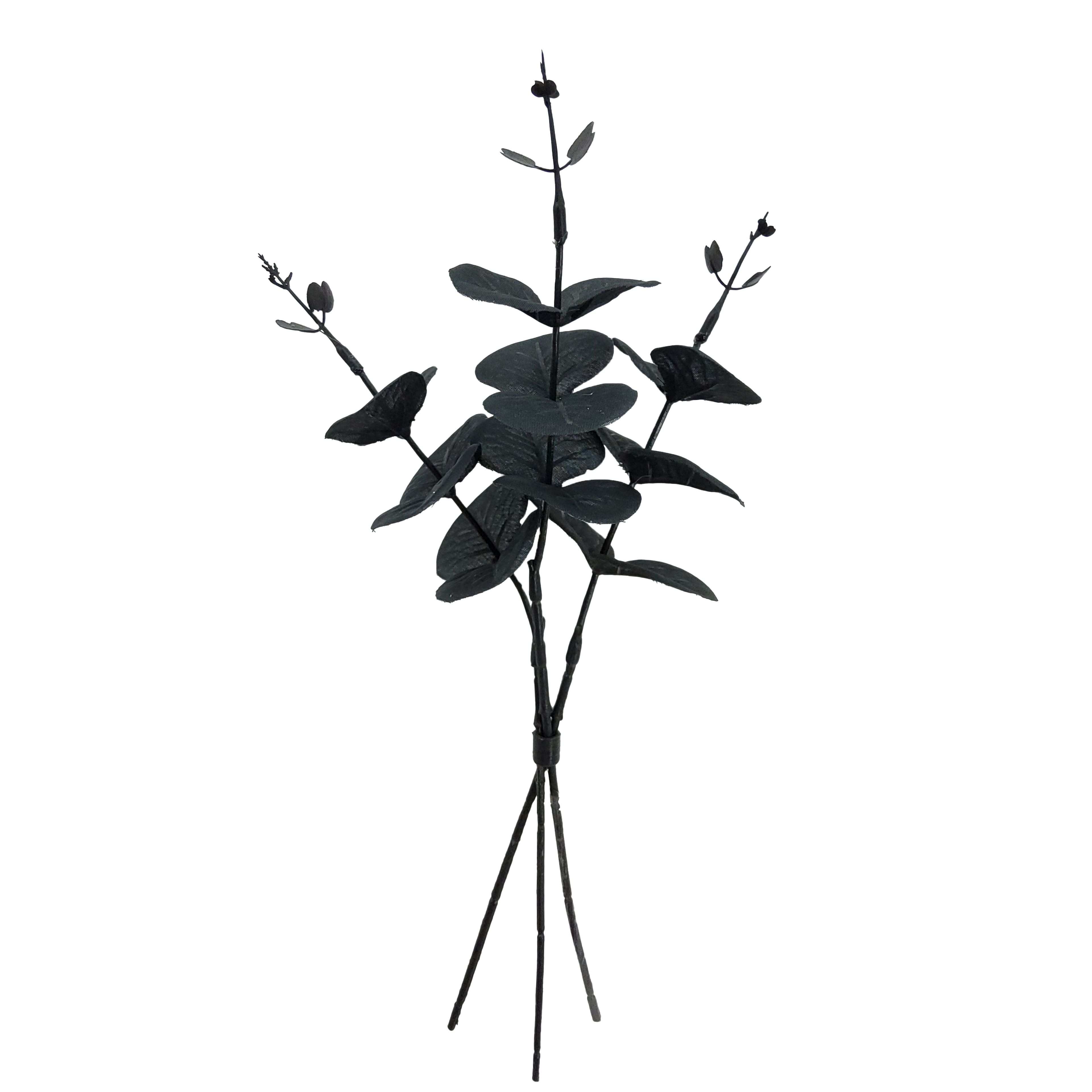 12" Eucalyptus Mini Bundle by Ashland