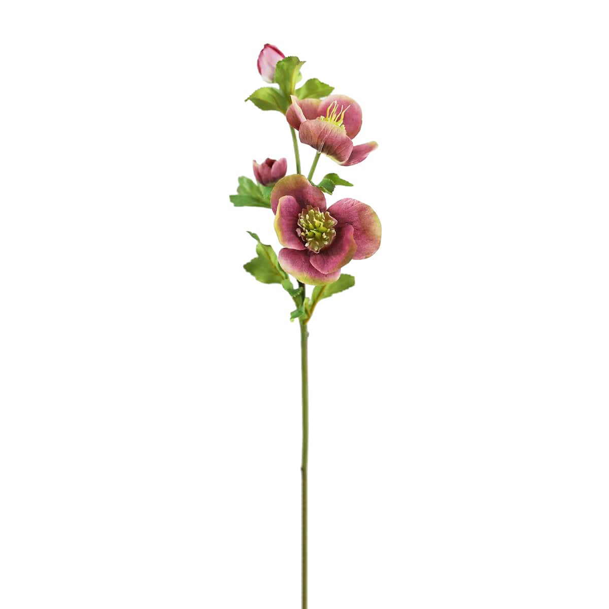 Prestige Botanicals 18" Artificial Real Touch Mauve Pink Hellebore Stem