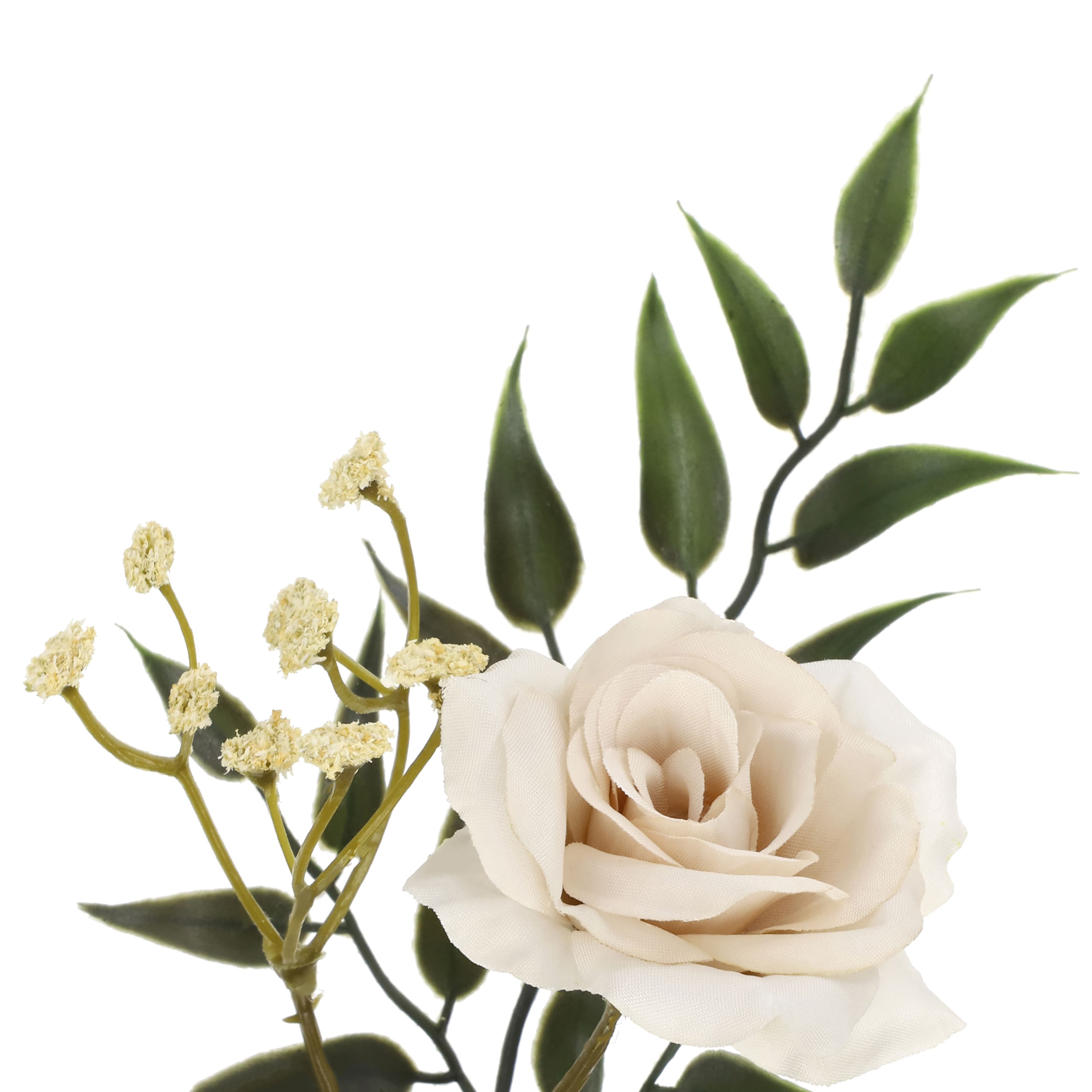 17" Dusty Blush Rose Bush by Ashland®