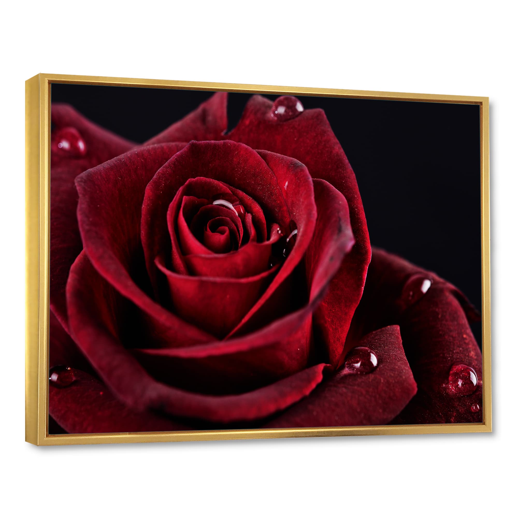 Designart - Red Rose with Raindrops on Black - Flowers Framed Canvas Wall Artwork
