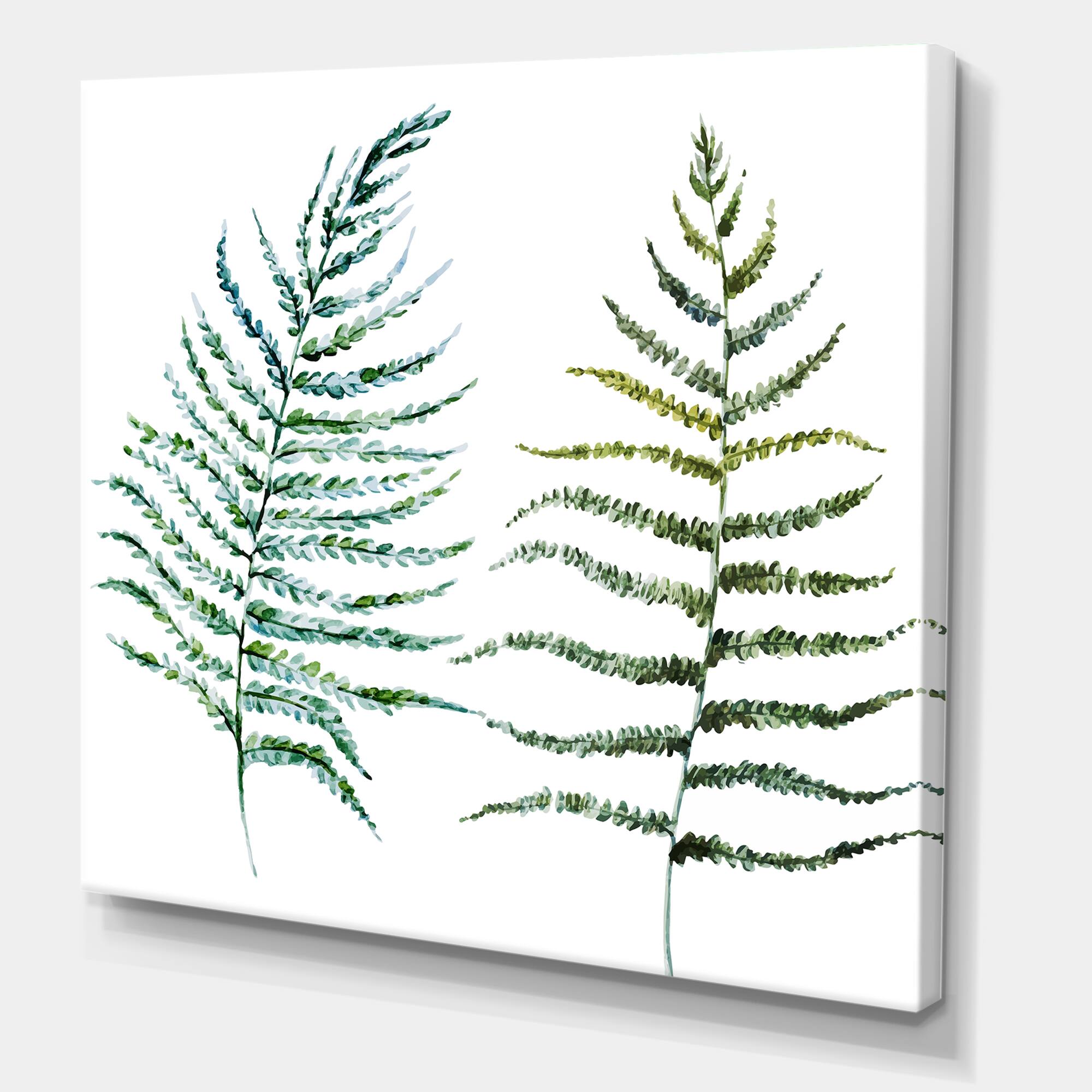 Designart - Two Fern Leaves