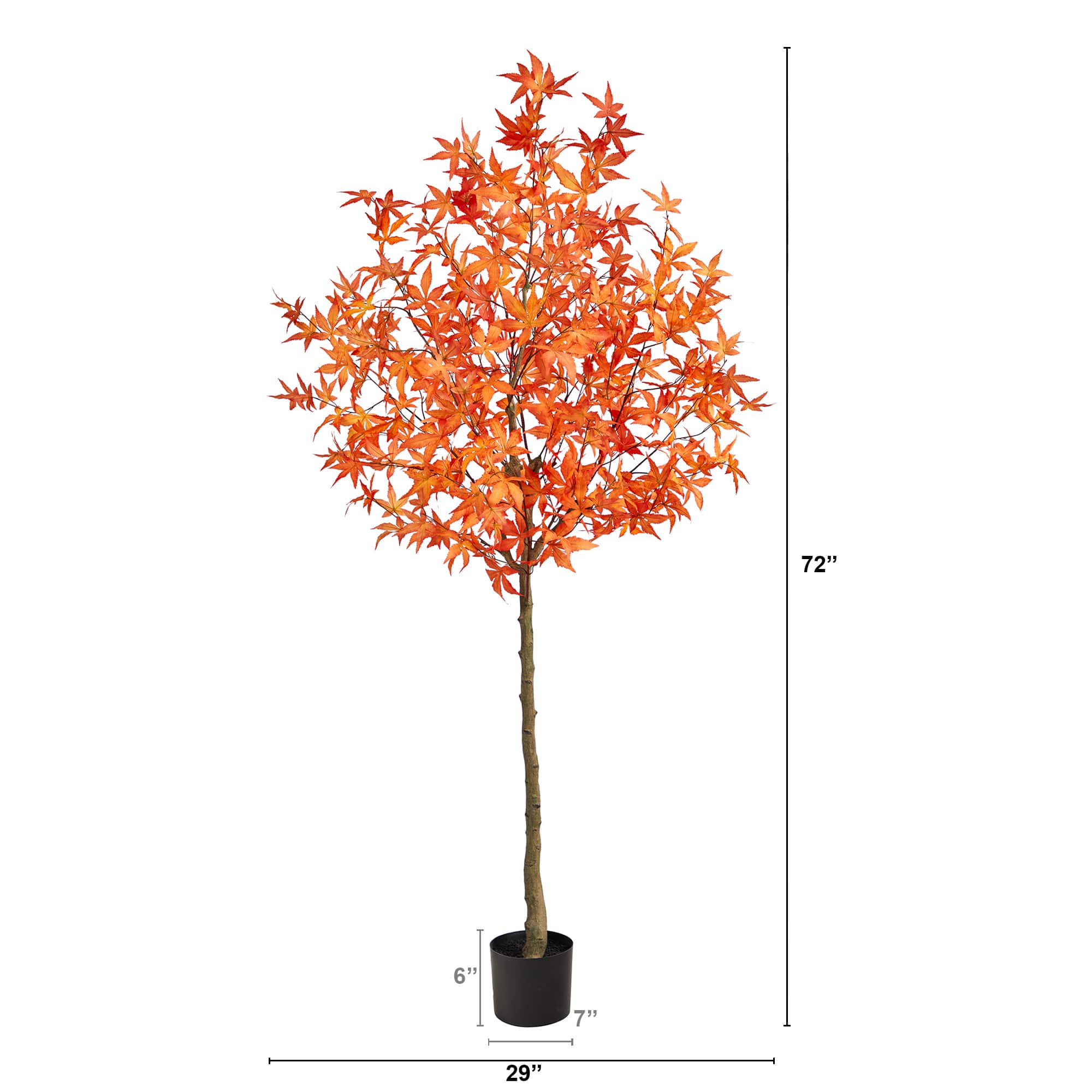 6ft. Potted Orange Autumn Maple Tree