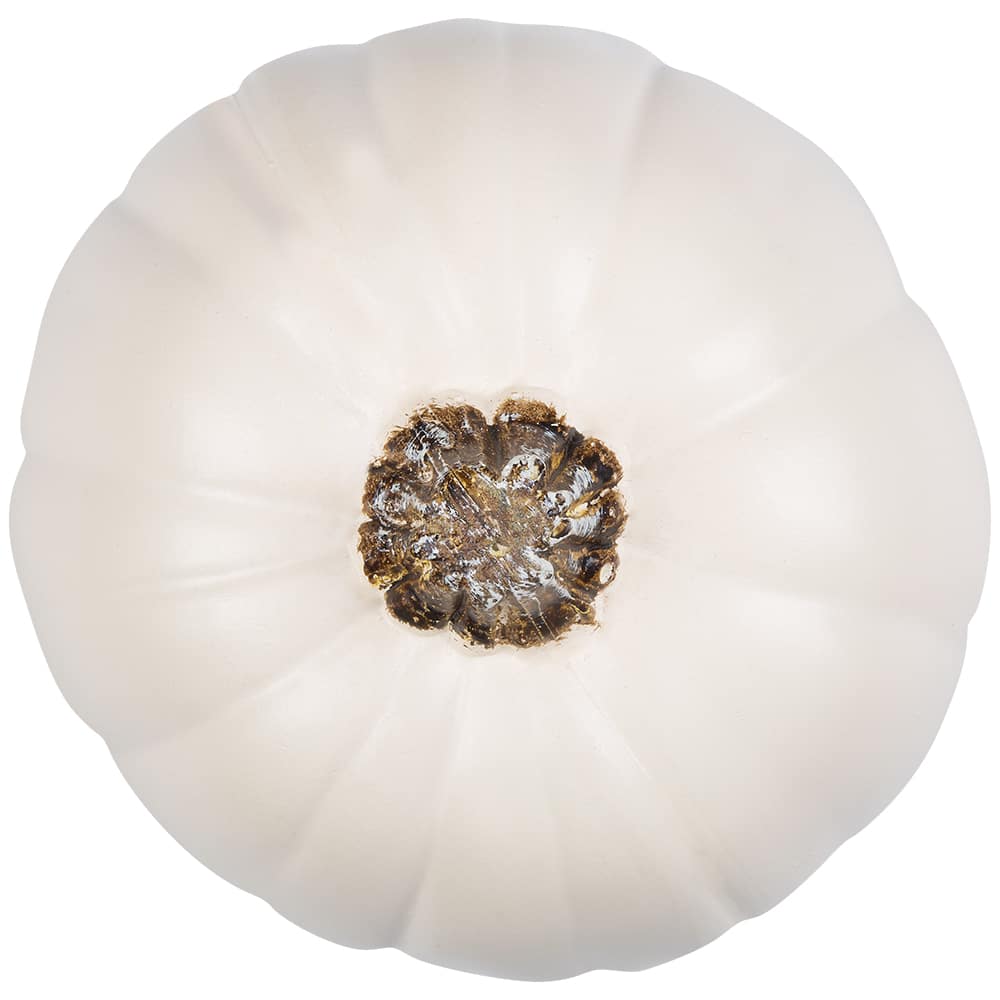 Cream Craft Pumpkin by Ashland