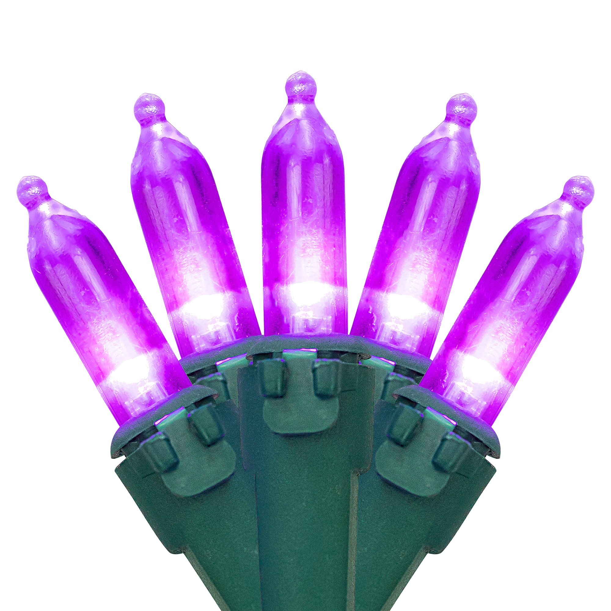 100ct. LED Mini Christmas Lights With Green Wire