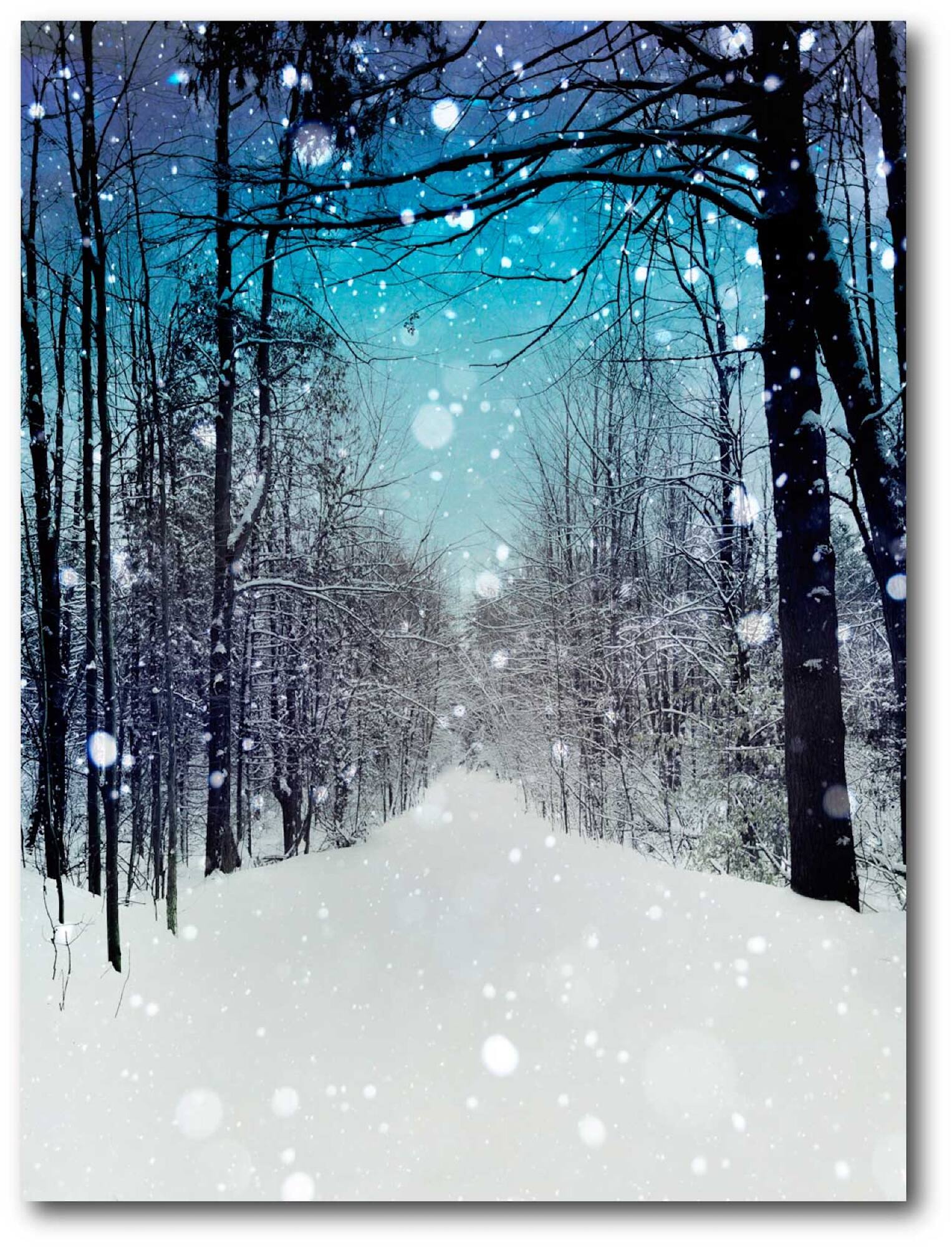 Courtside Market® Winter Wonderland Gallery-Wrapped Canvas Wall Art