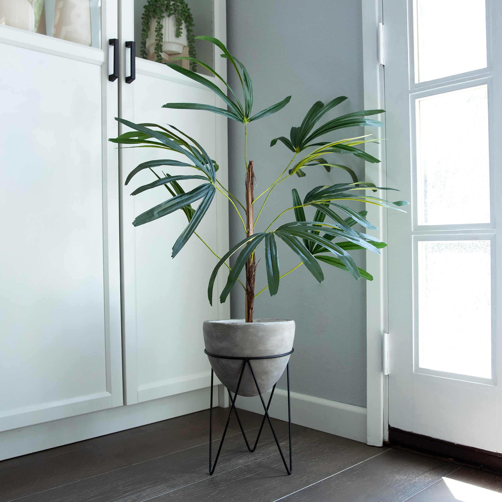 Flora Bunda® 40" Switch Cane Palm In Cement Planter On Metal Stand