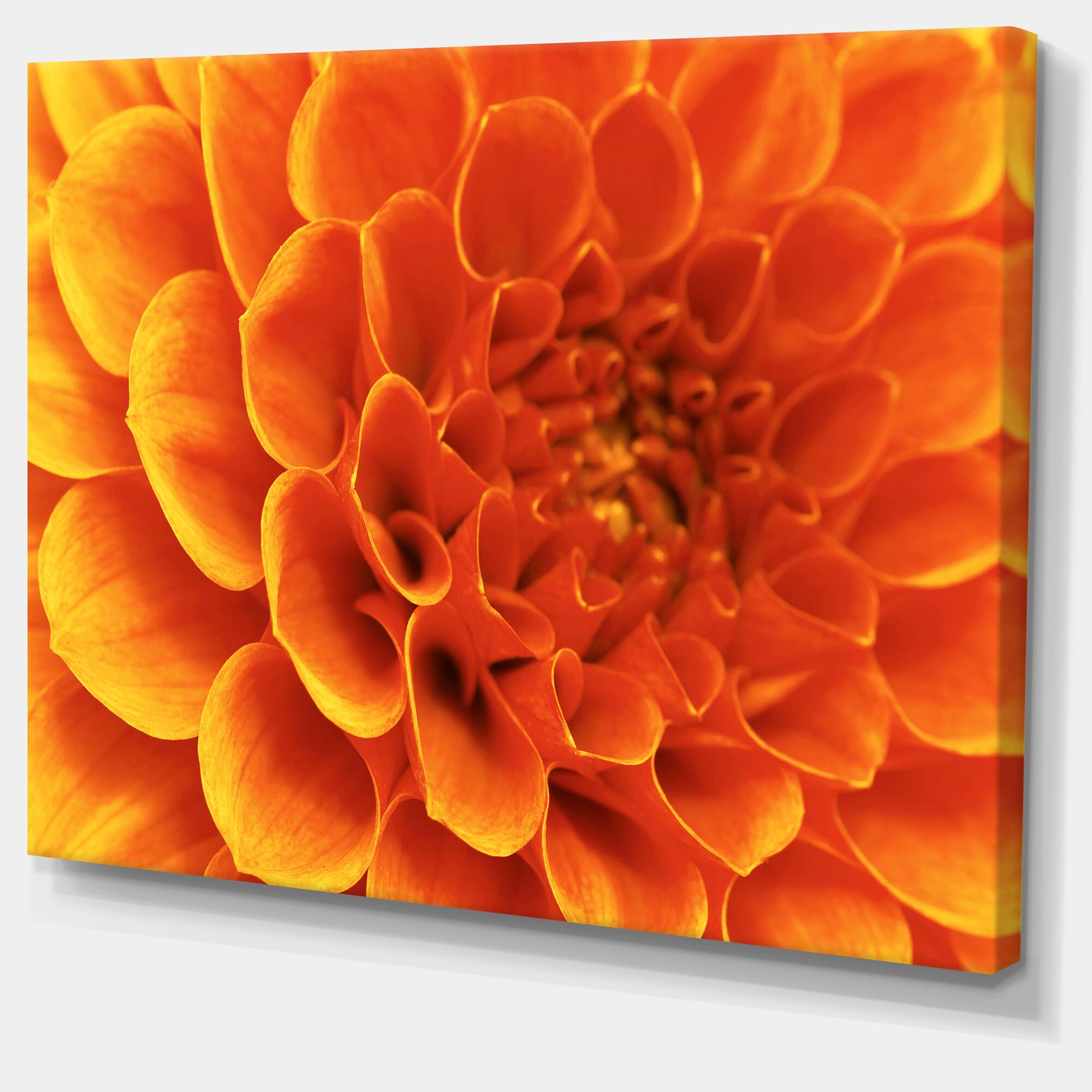 Designart - Large Orange Flower and Petals