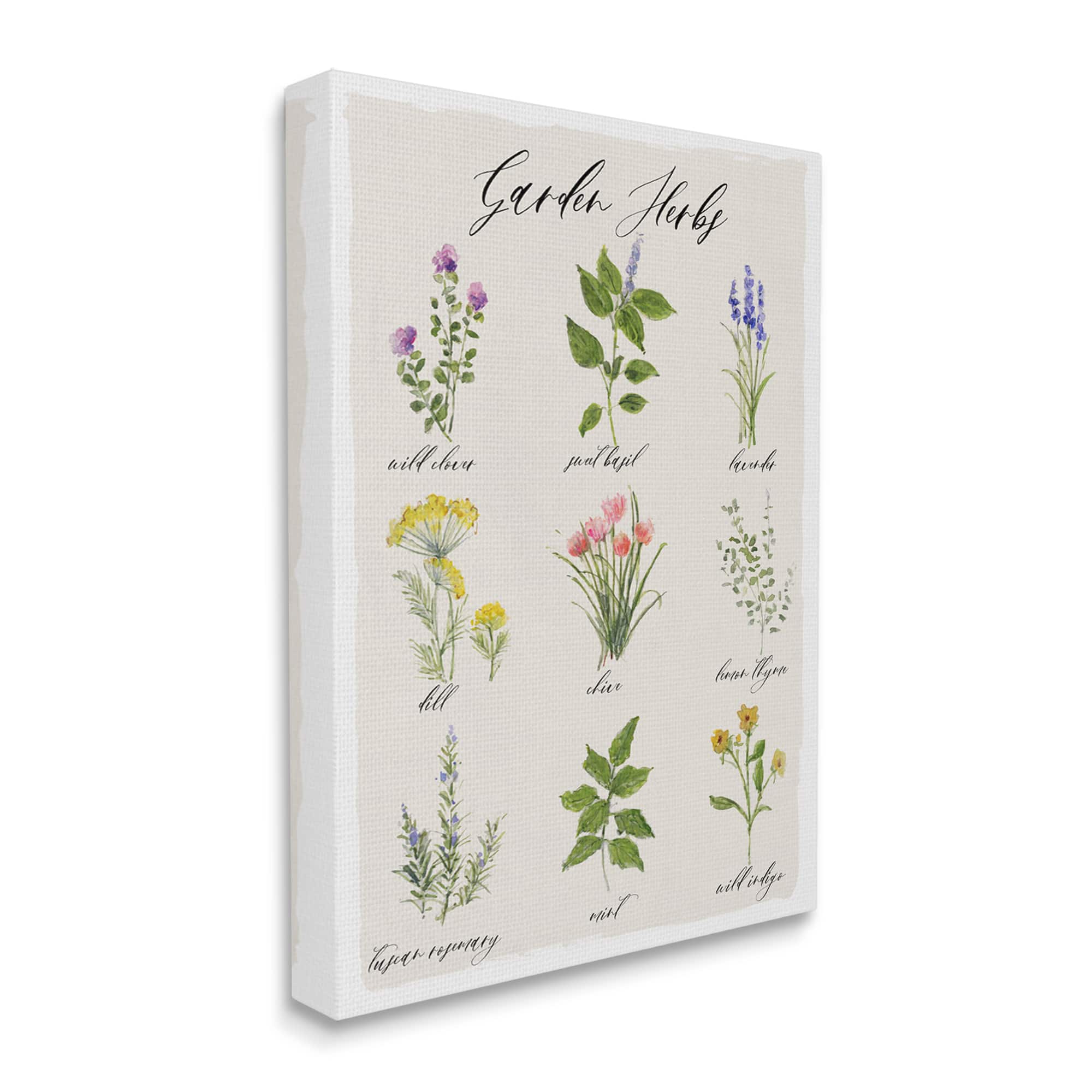 Stupell Industries Garden Herb Illustrated Chart Natural Kitchen Seasoning Canvas Wall Art