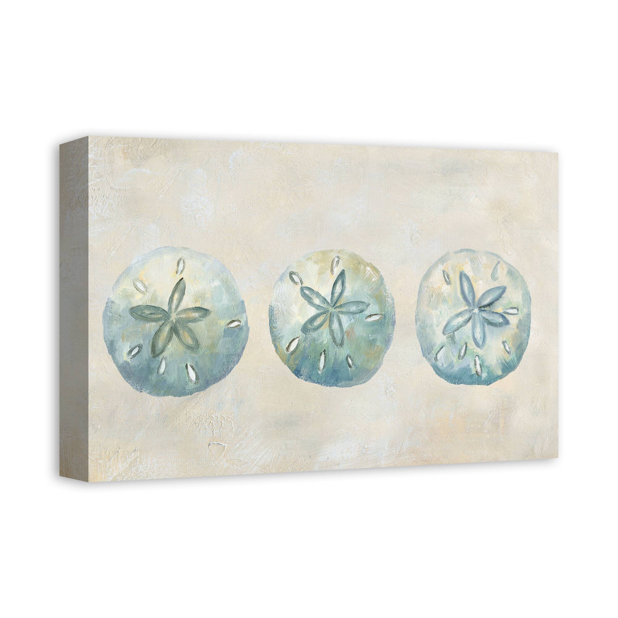 Sand Dollars 18" x 12' Canvas Wall Art
