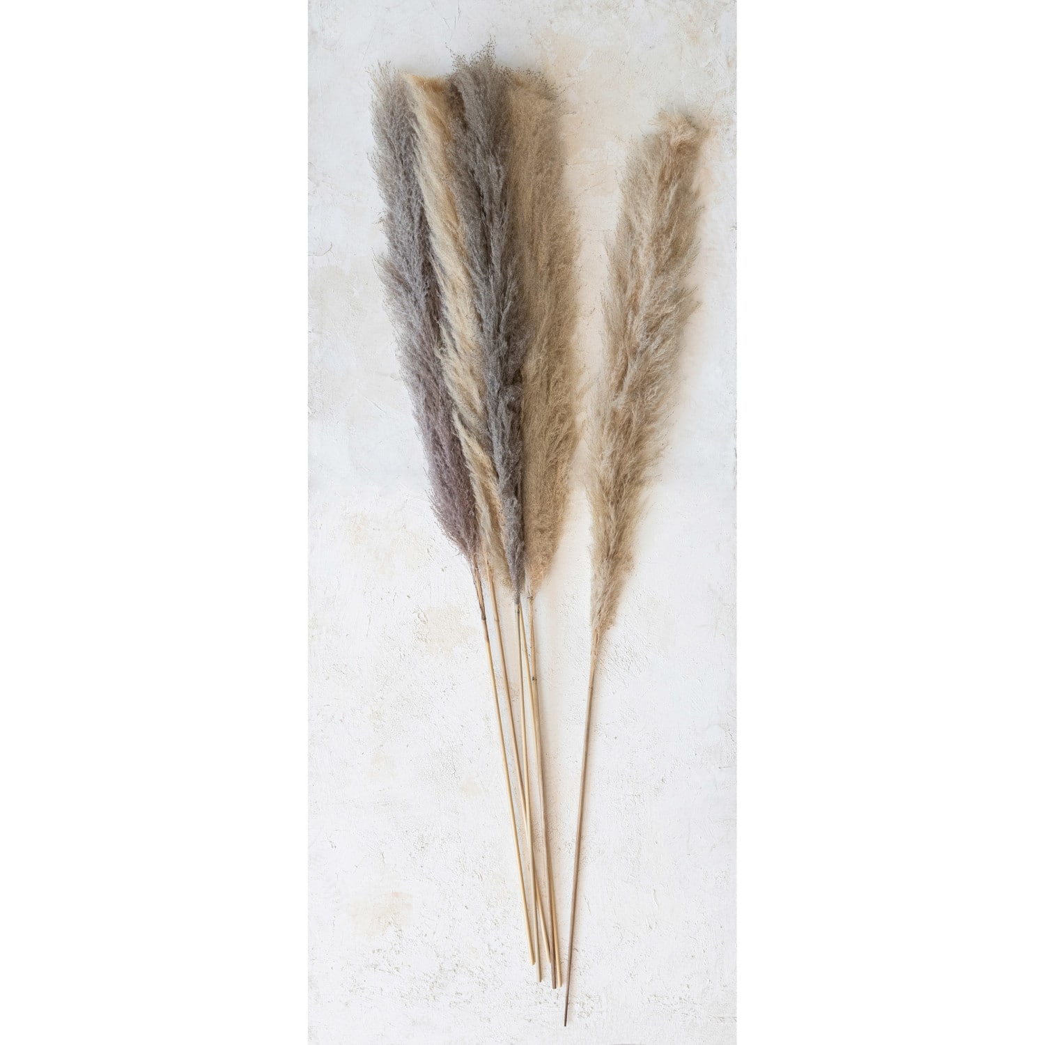 Hello Honey® 5.5ft. Natural Dried Pampas Grass Bunch