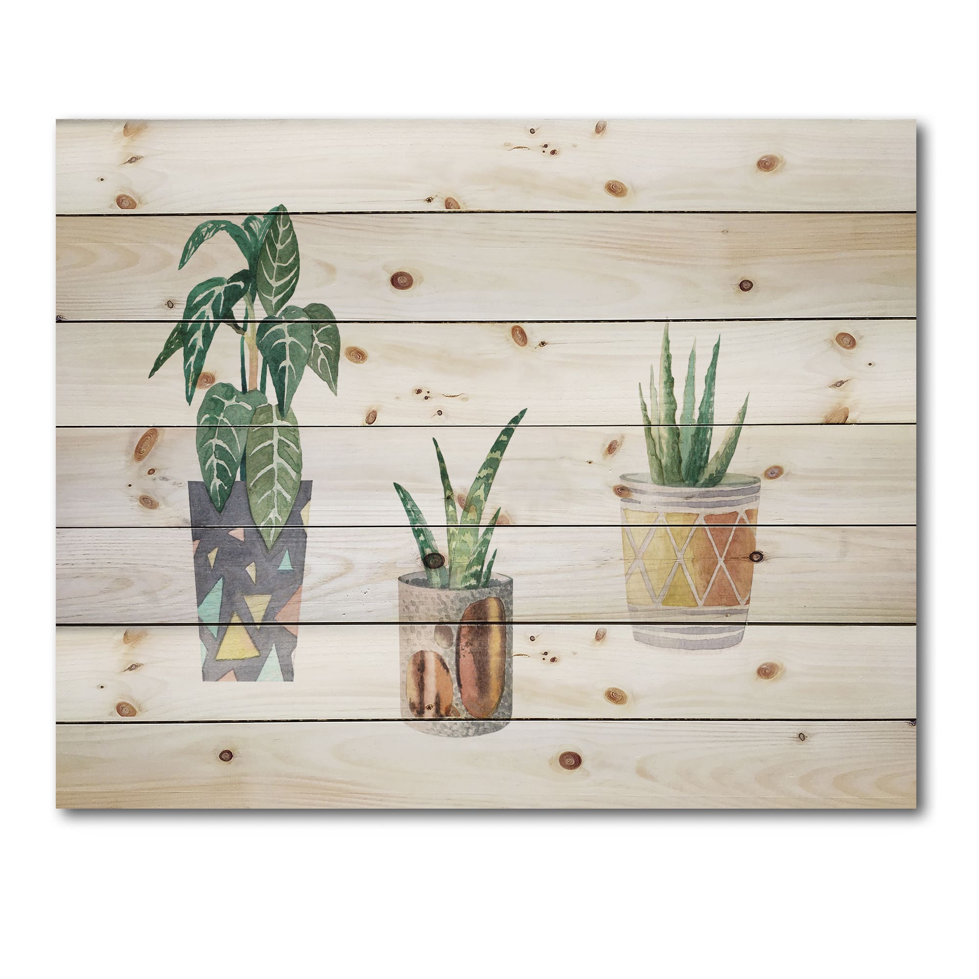 Designart - Three Potted Houseplants - Traditional Print on Natural Pine Wood