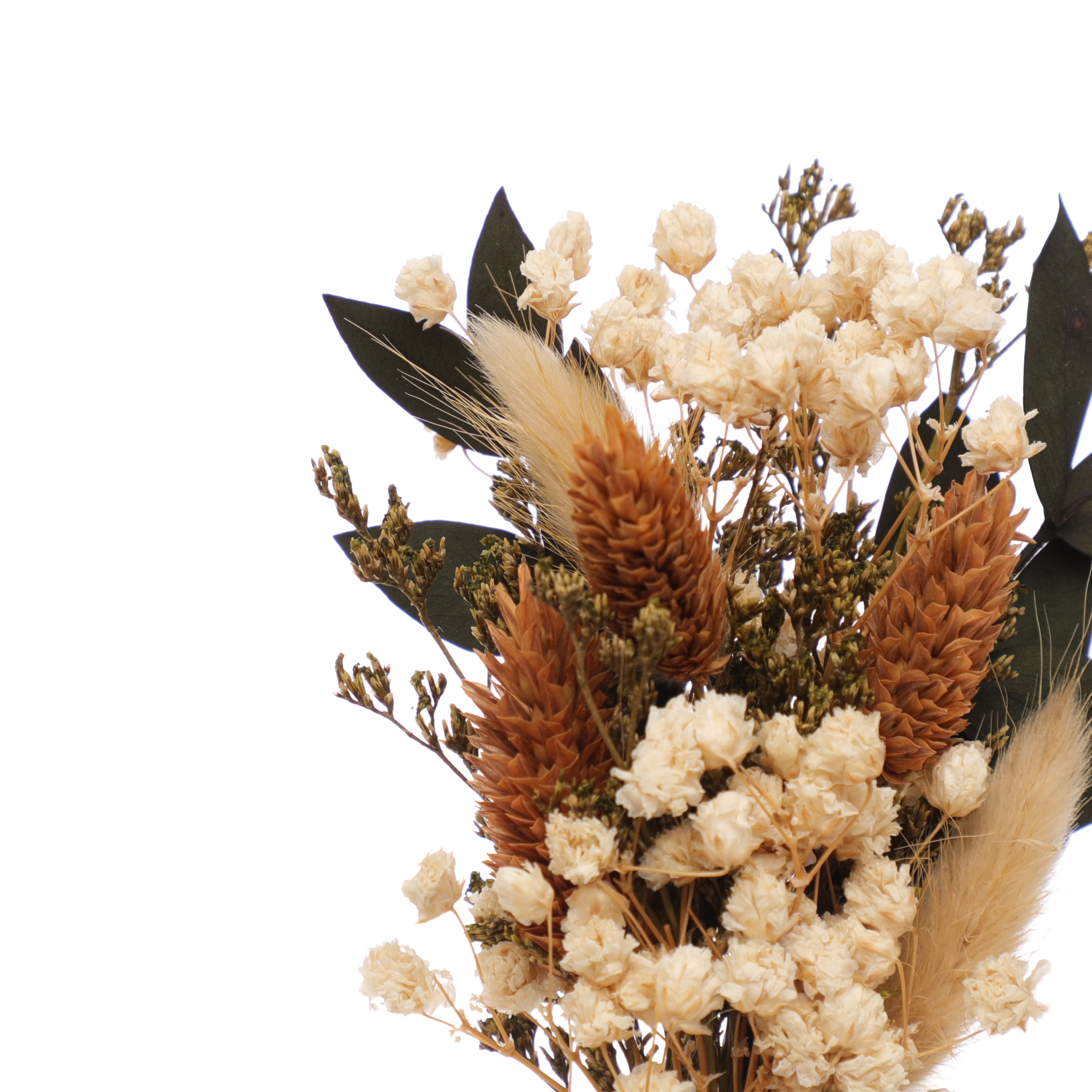 6.7" Dried Mixed Mini Bundle by Ashland®