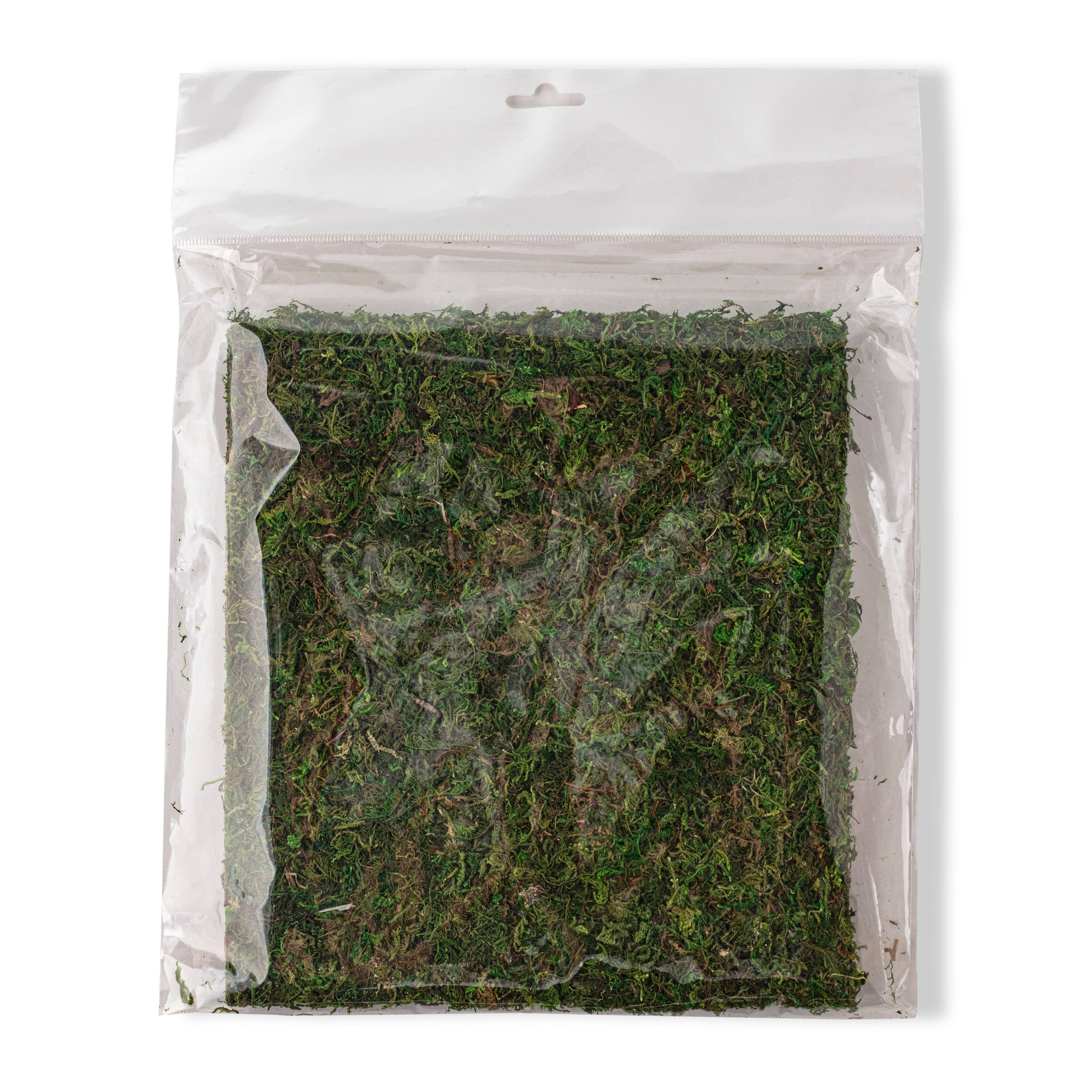 12 Pack: Moss Mat by Ashland®