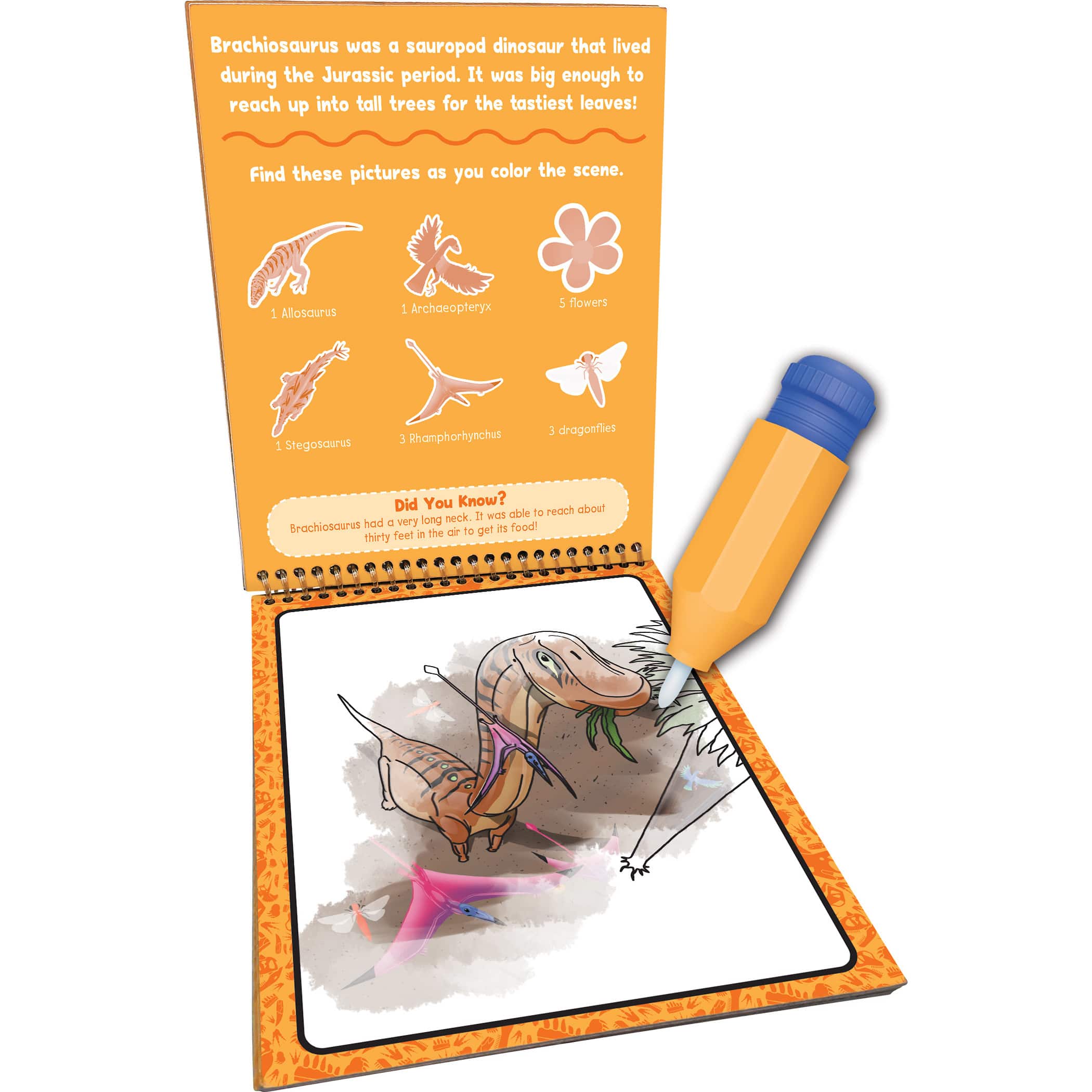 Teacher Created Resources® Dinosaurs Water Reveal Kit