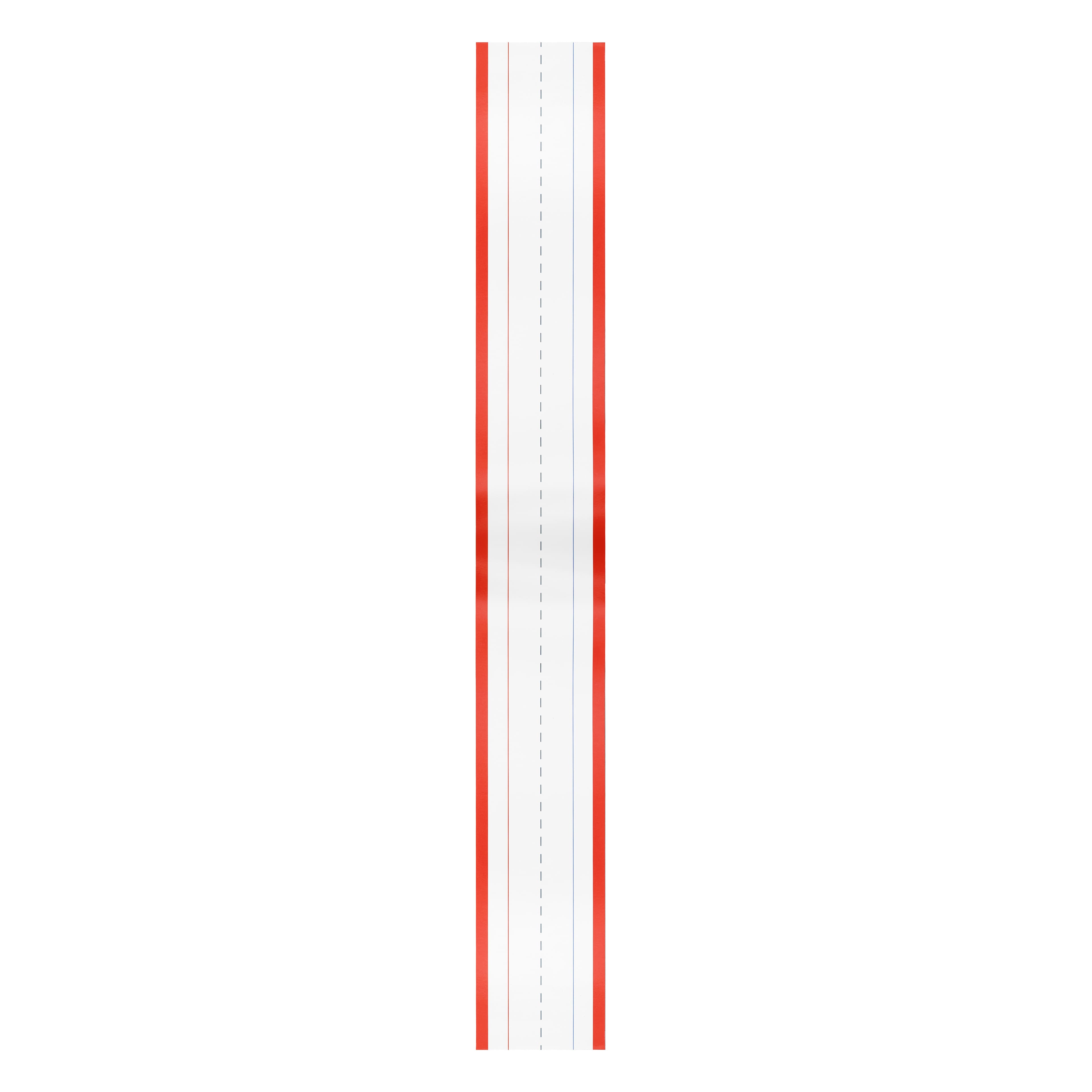 Class Rules! 23.5" Red & White Dry Erase Magnetic Writing Strips, 10ct. by B2C™