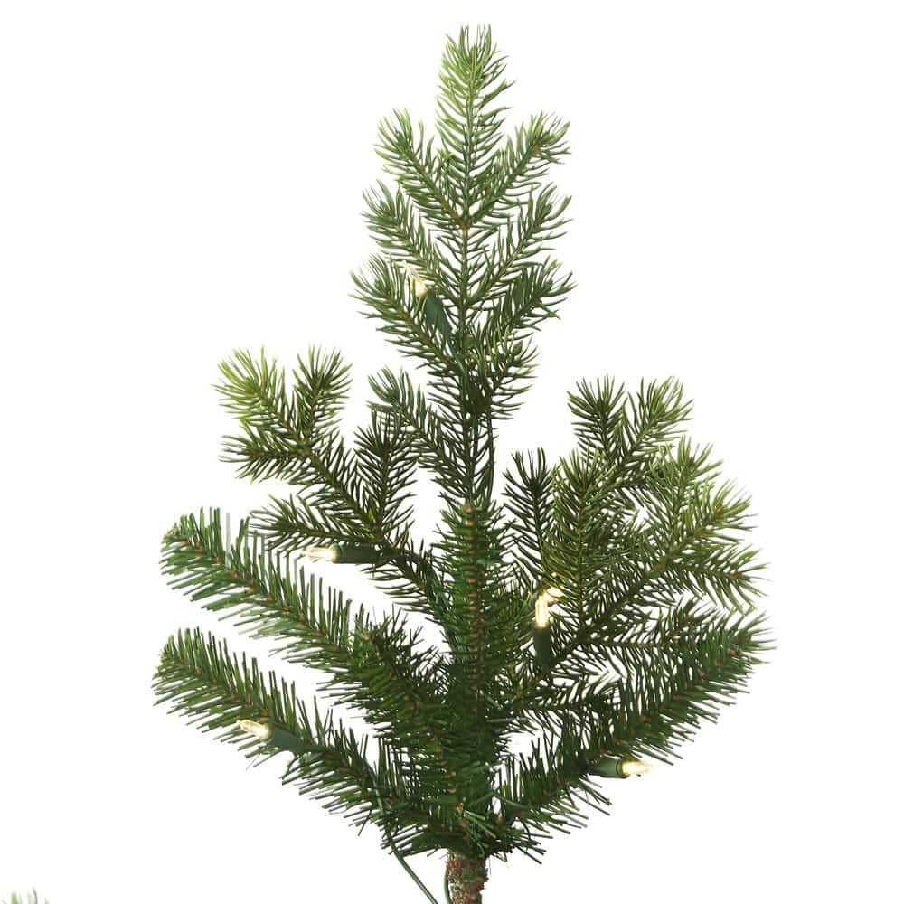 7.5ft. Pre-Lit Eagle Fraser Full Artificial Christmas Tree, Warm White Dura-Lit® LED Lights