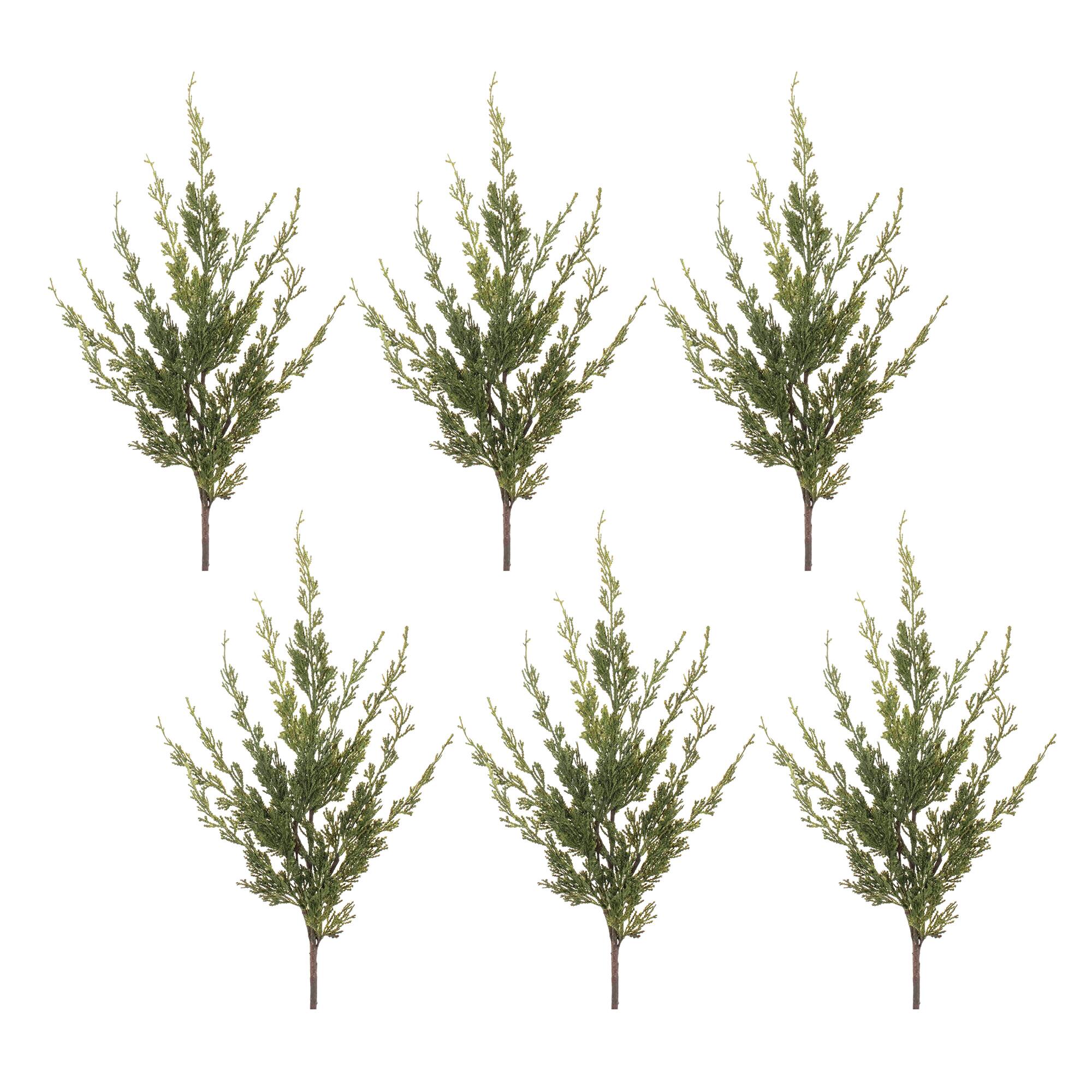2ft. Variegated Pine Spray, 6ct.