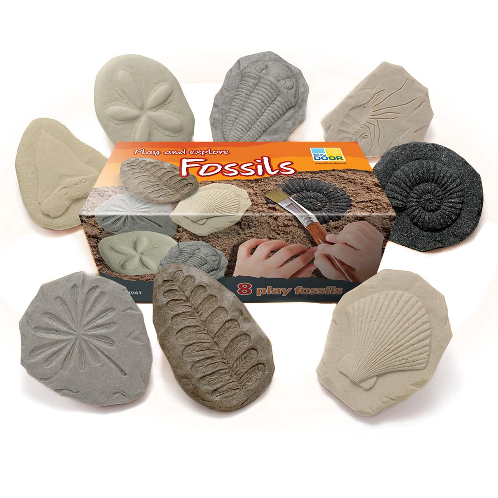 Yellow Door Play and Explore Fossil Stones