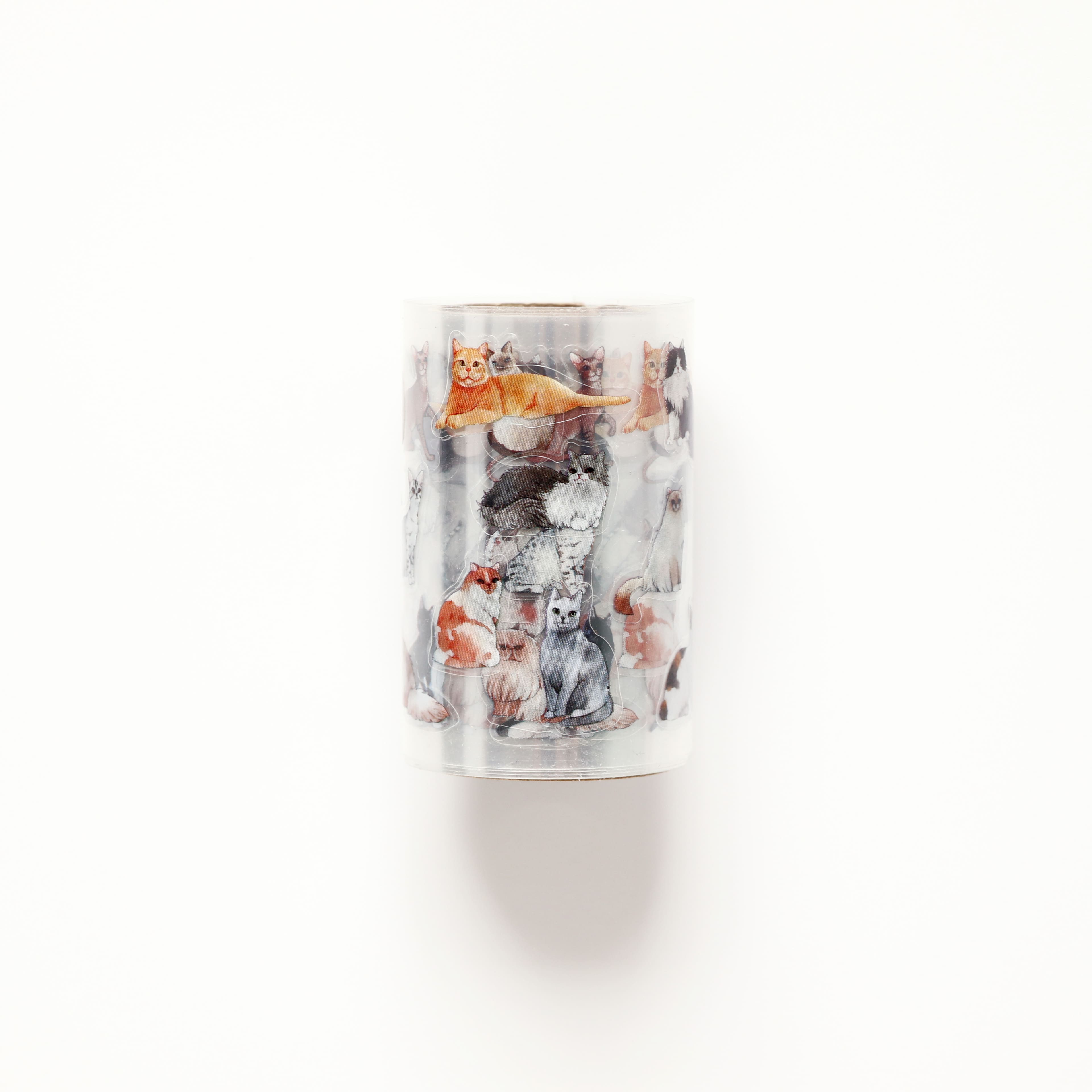 2.5" x 2.2yd. Cats PET Sticker Tape by Recollections™