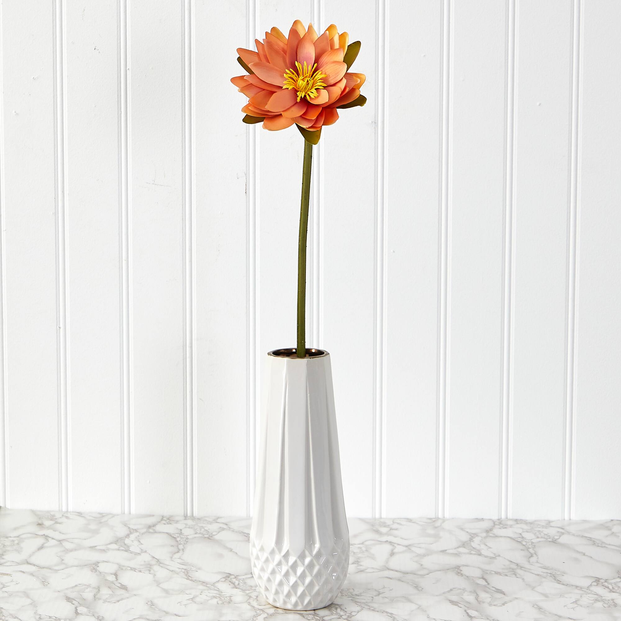 Lotus Flower Stems