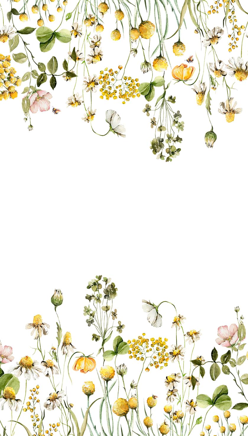 Designs Direct Field Blossom Yellow Wall Mural