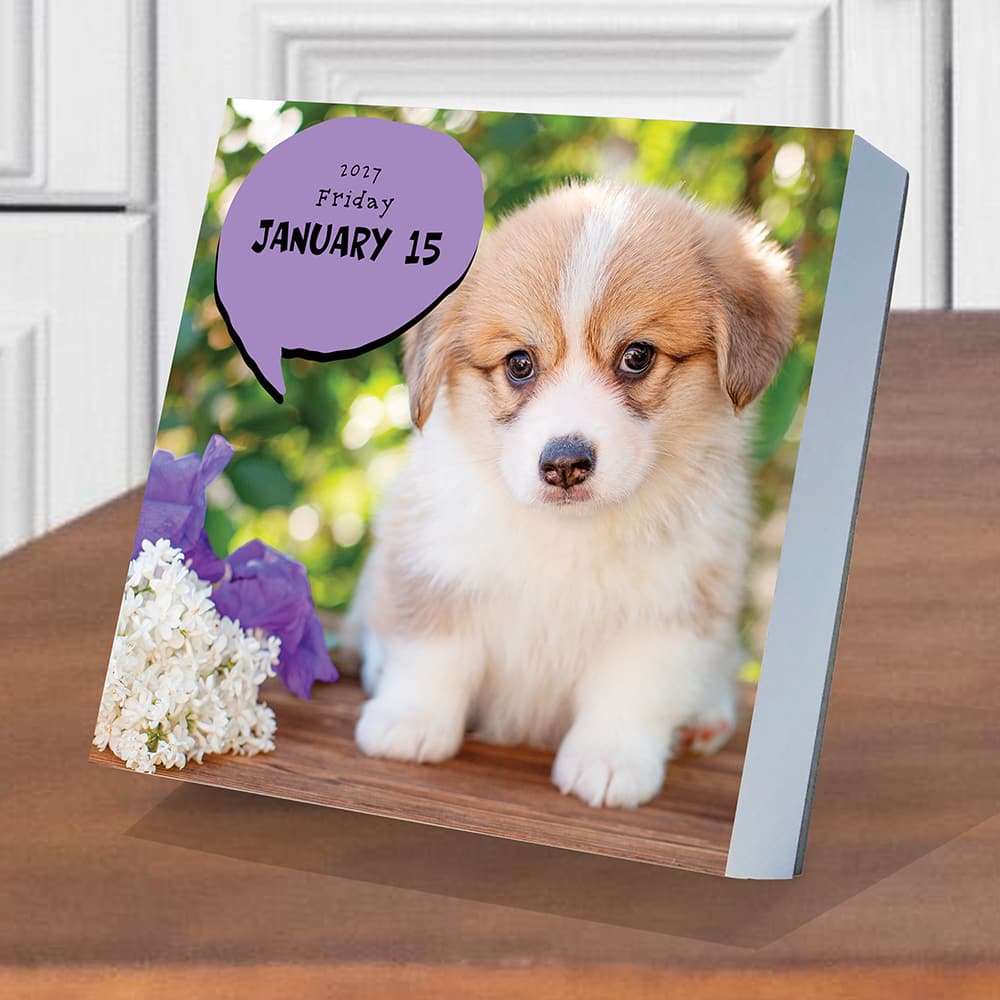 2027 Dog A Day Daily Desktop Calendar