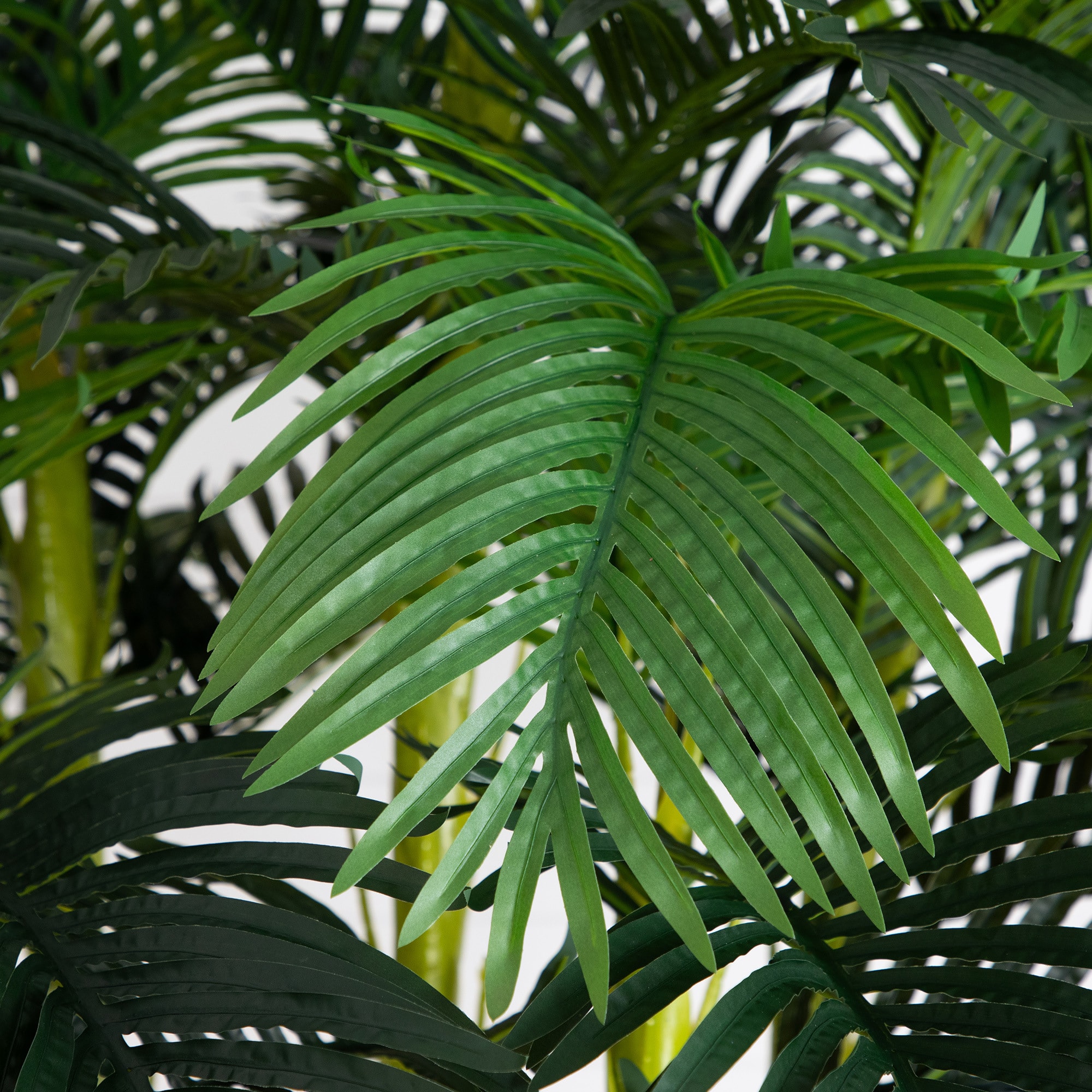 9.5ft. Potted Giant 5 Stalk Areca Palm Tree