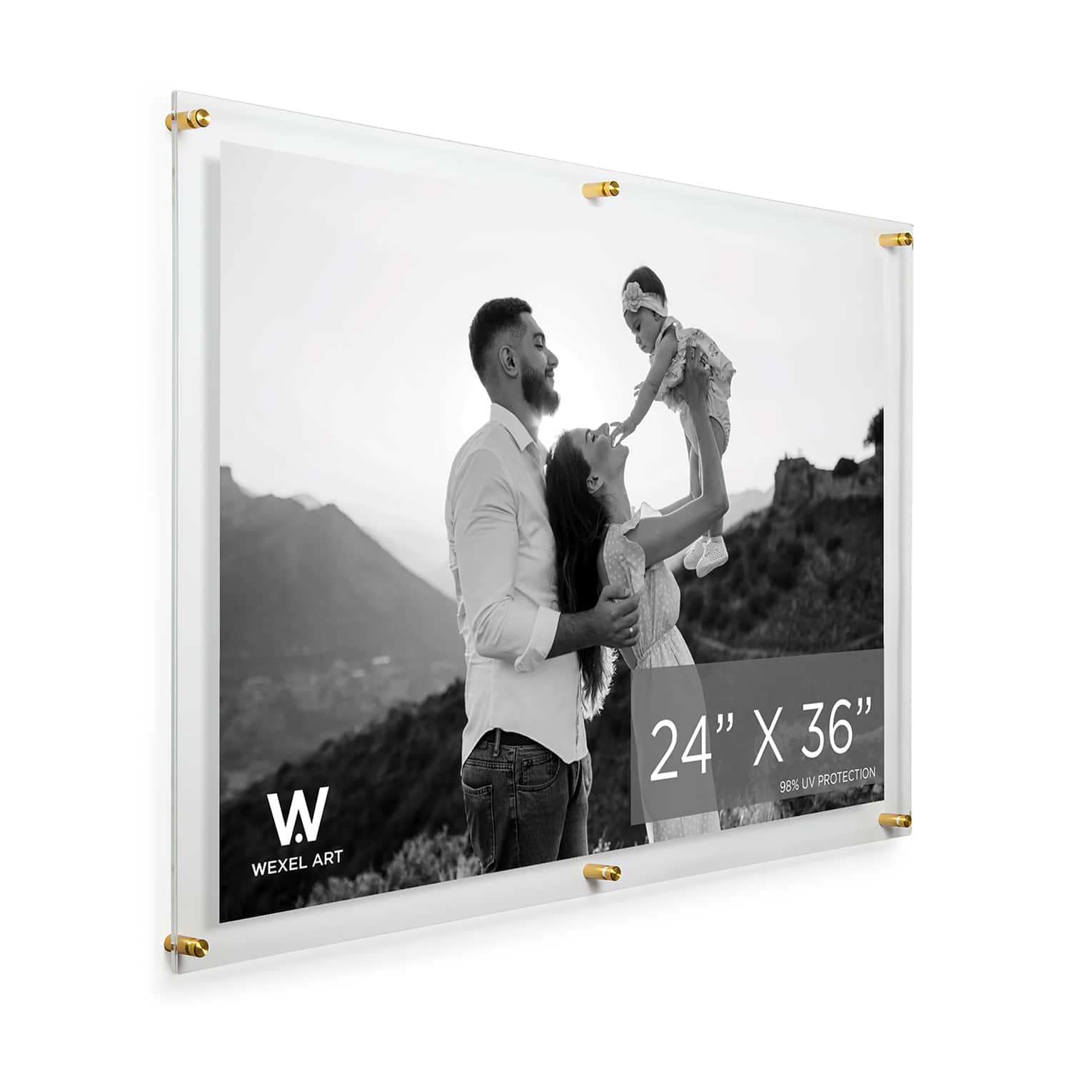 Wexel Art Double Panel Clear Acrylic Floating Wall Frame with Gold Hardware