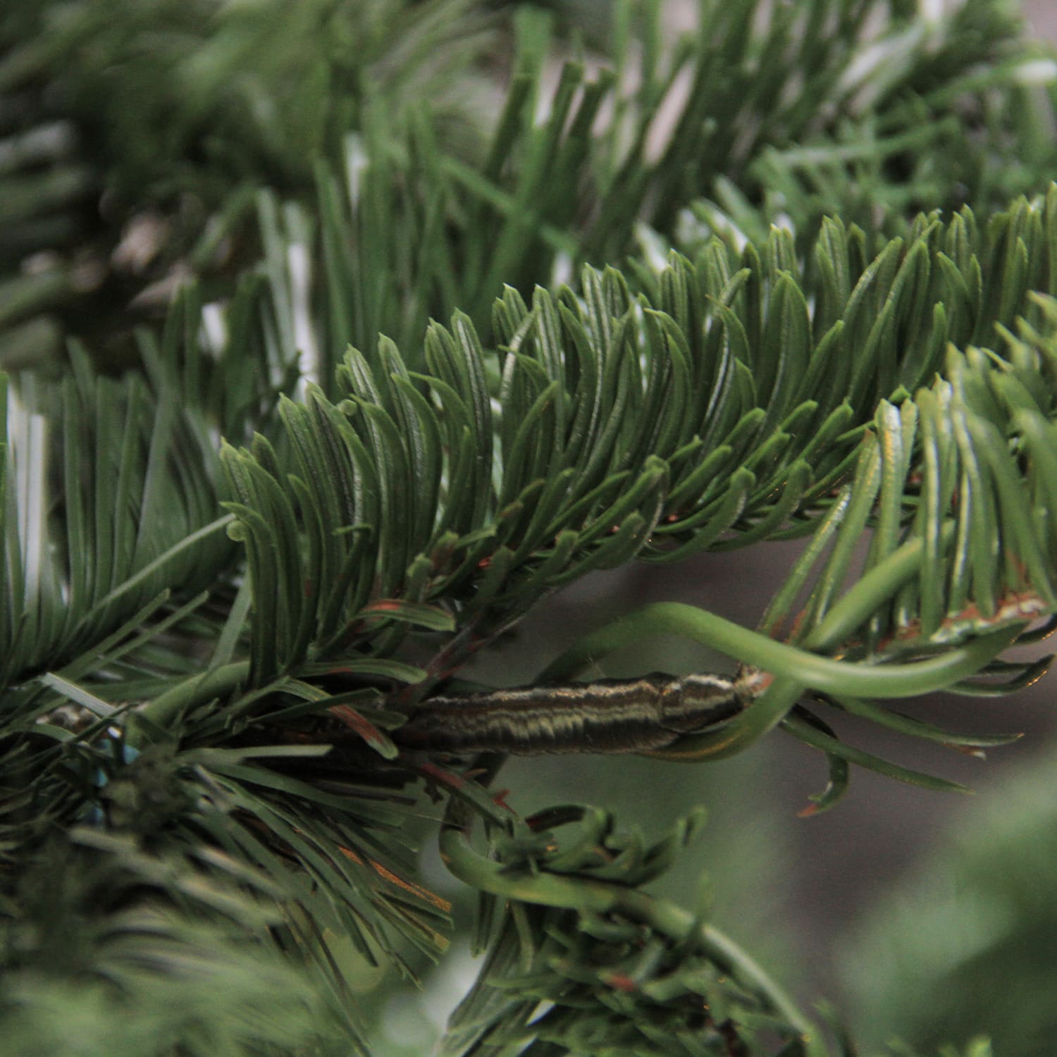 4.5ft. Unlit Slim Nordmann Fir Layered Artificial Christmas Tree