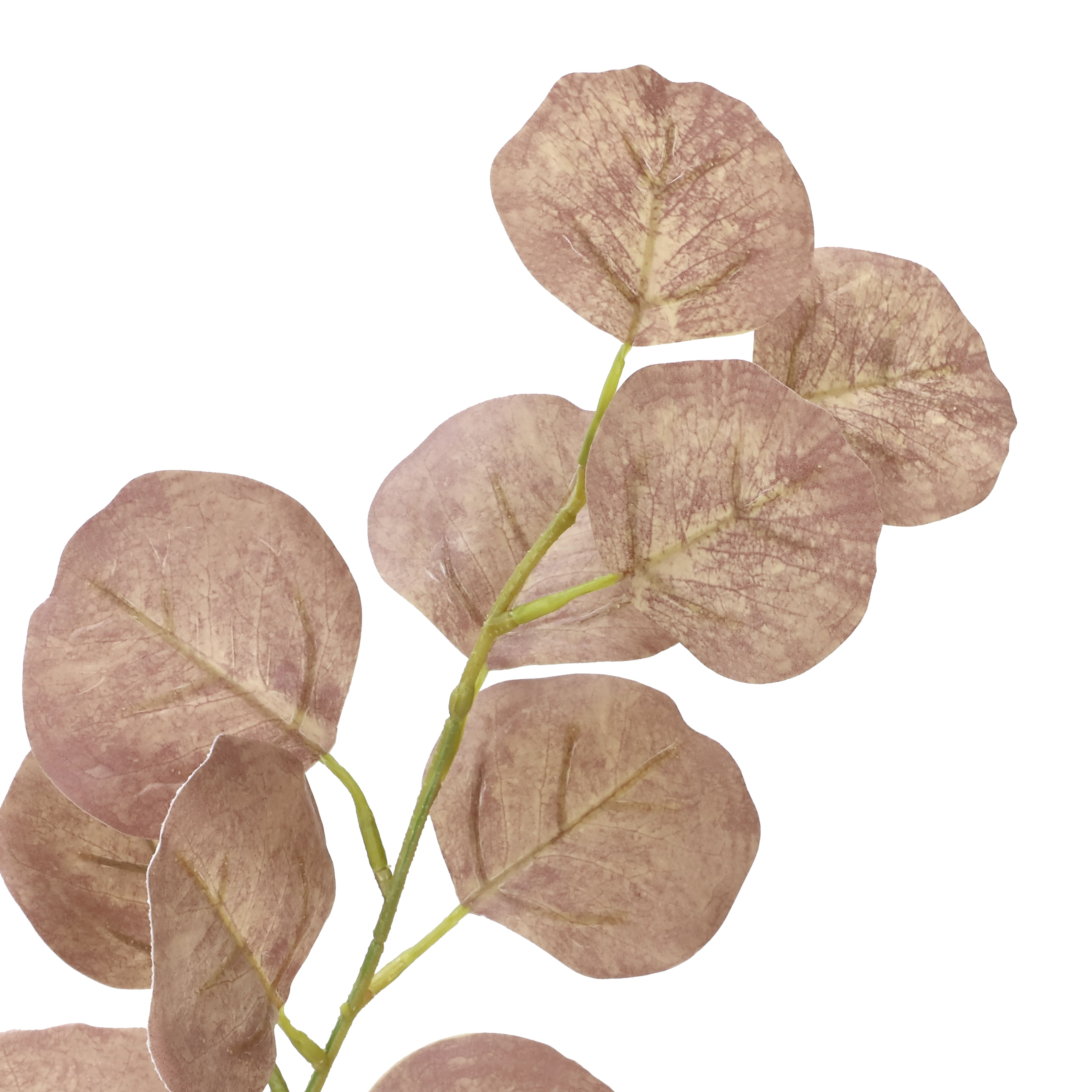 36" Oval Eucalyptus Real Touch Stem by Ashland®