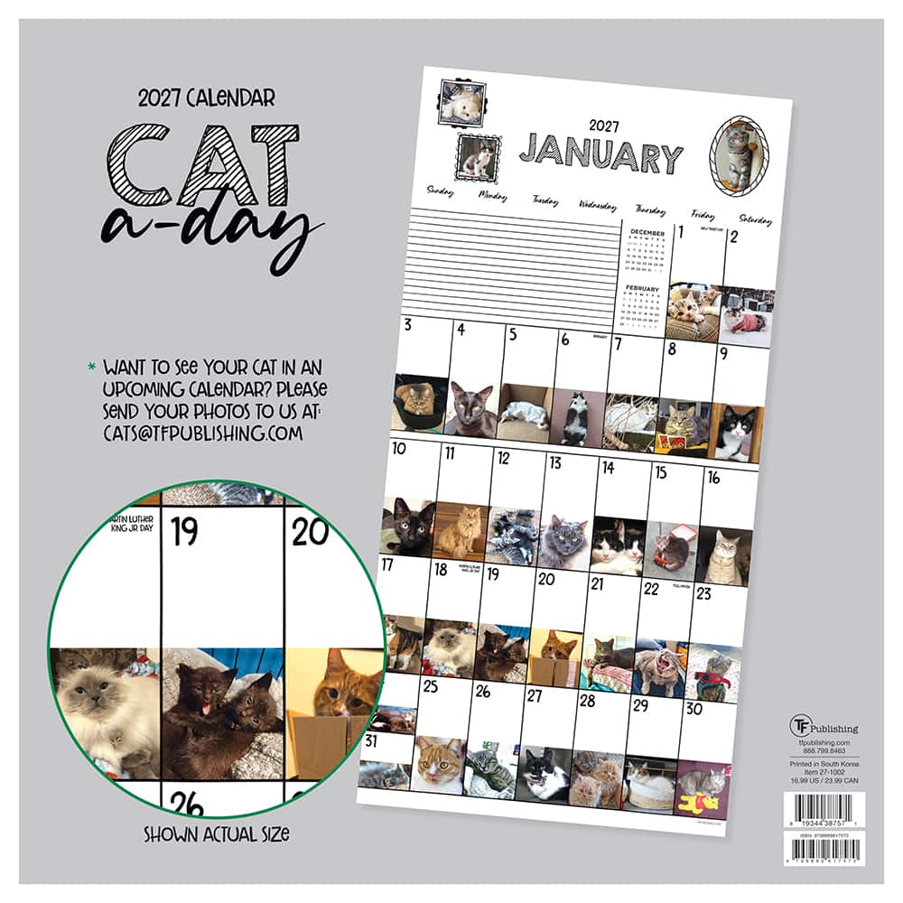 2027 Cat-A-Day Wall Calendar