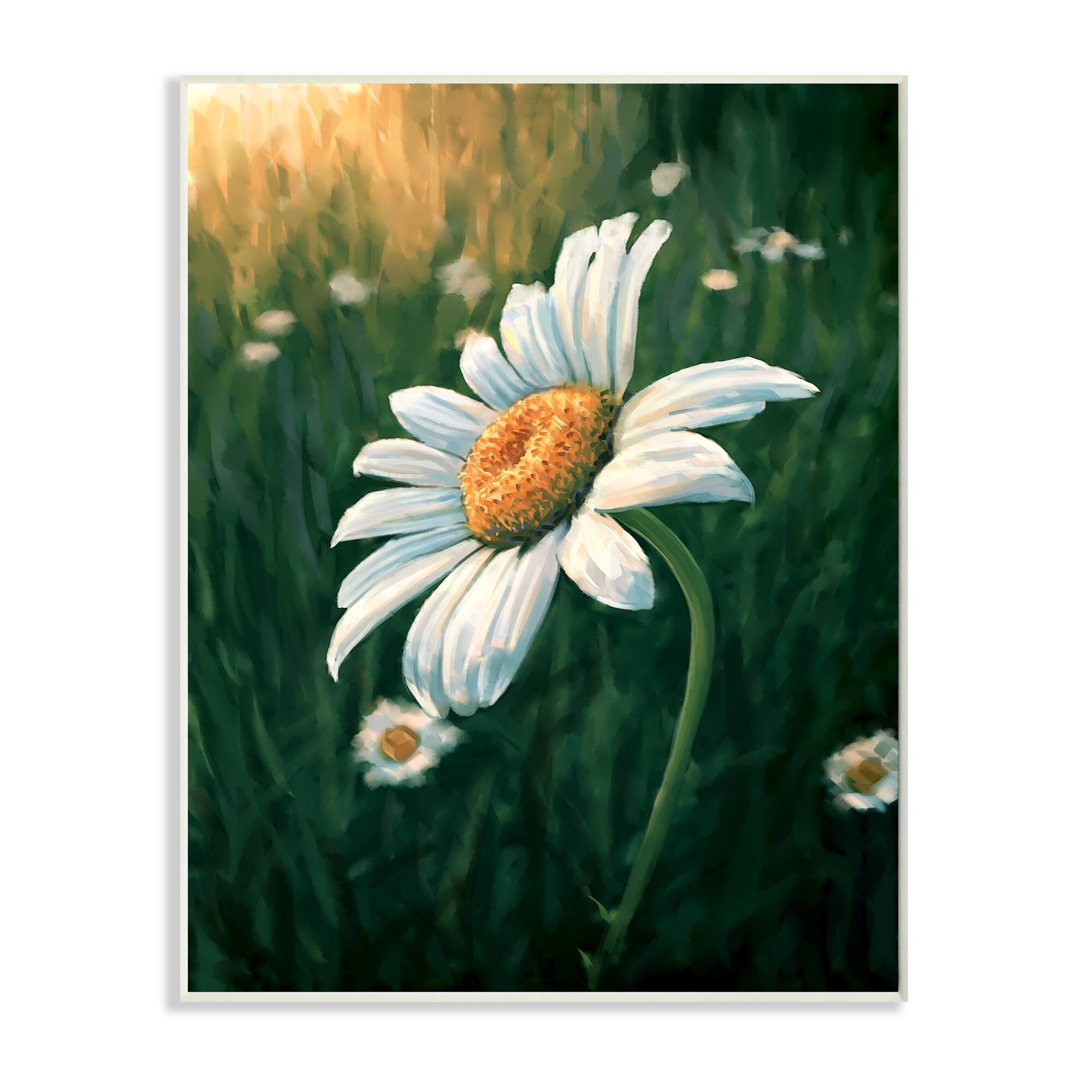 Stupell Industries Daisy Details in Field of Spring Flowers Wall Plaque