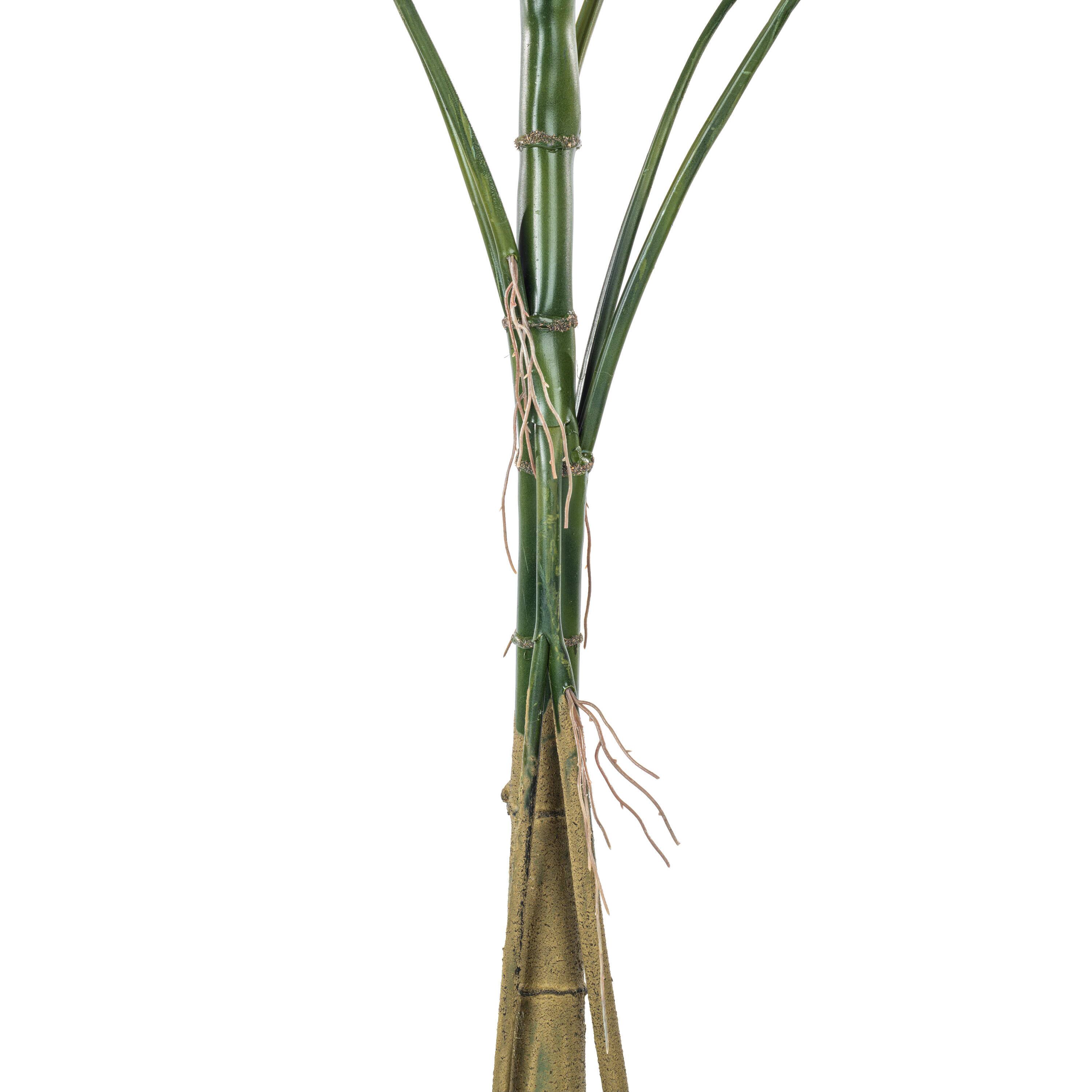 4.5ft. Potted Grand Split Philodendron Tree
