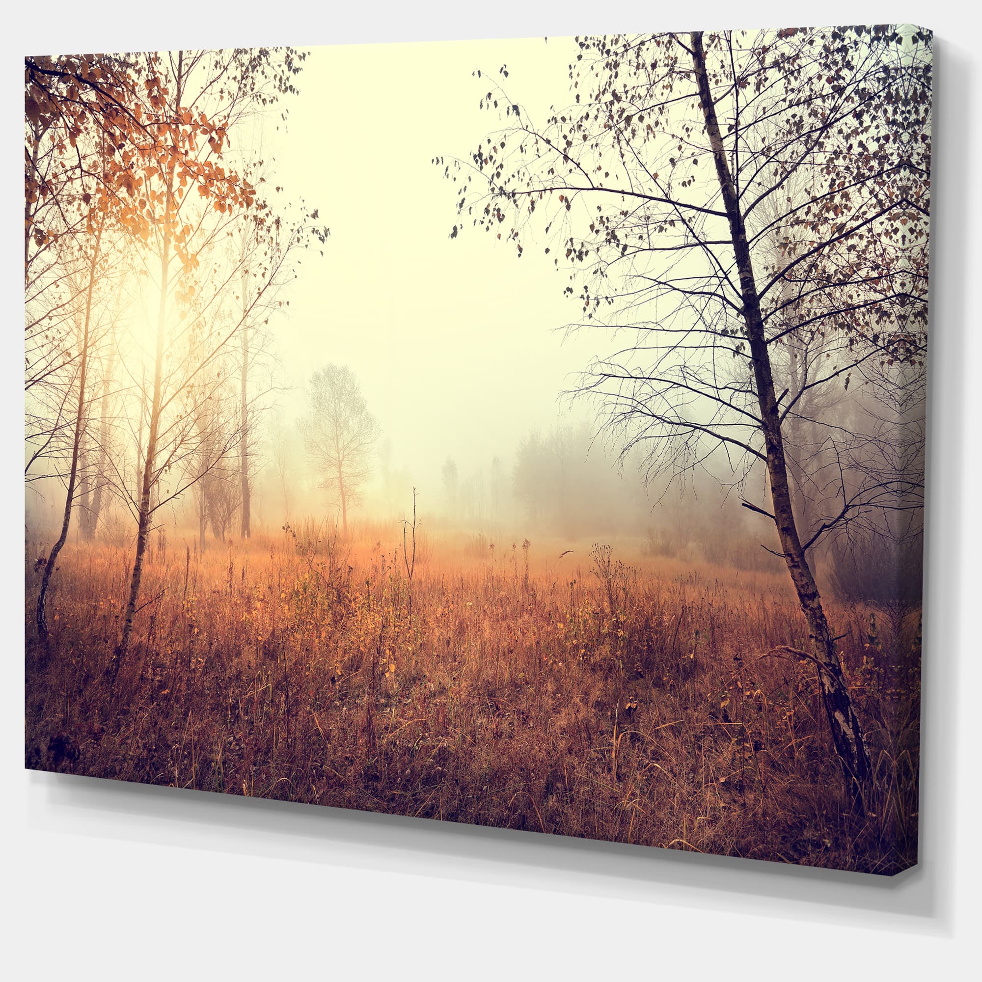 Designart - Charming Rural Field in Morning - Extra Large Wall Art Landscape