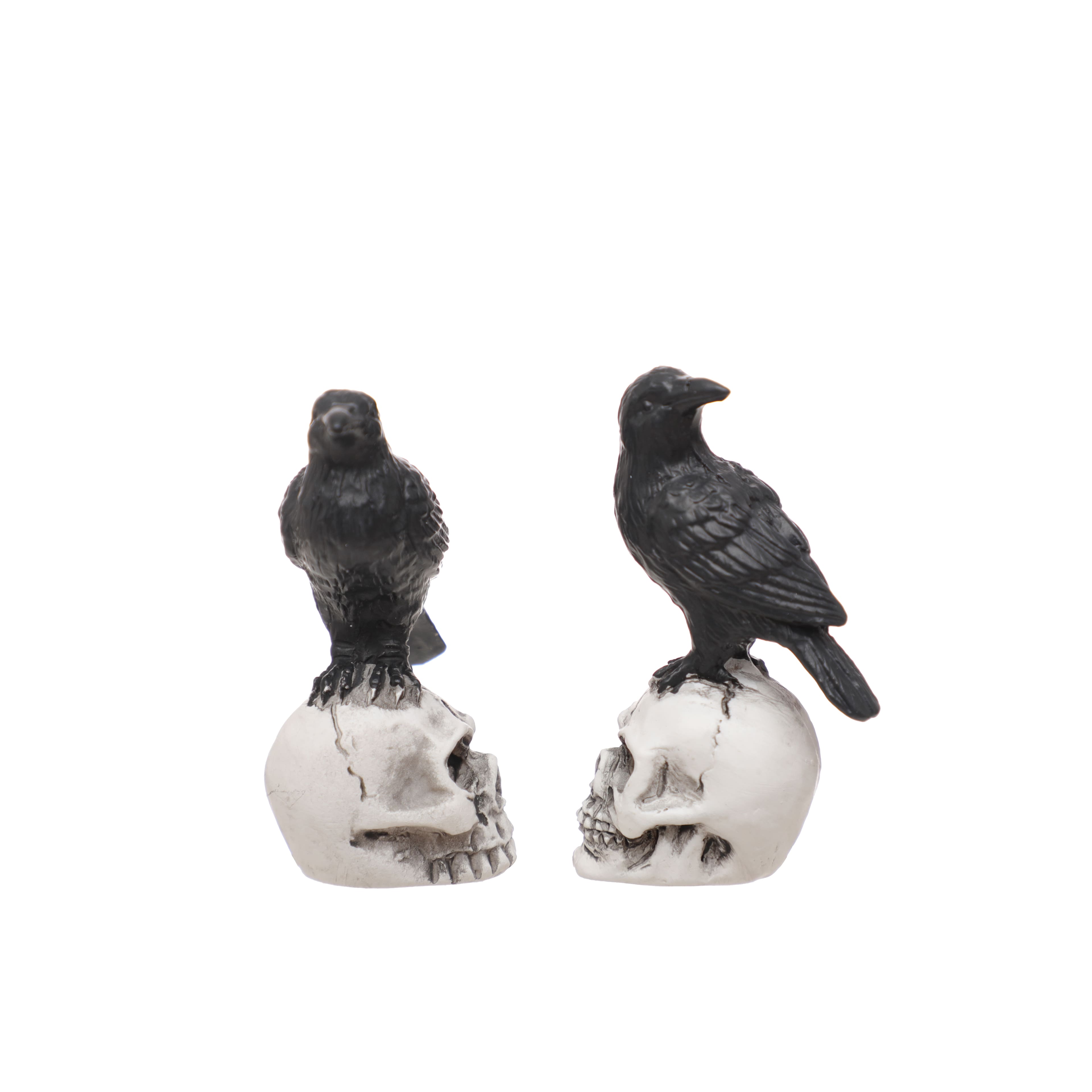 Mini Raven on Skull, 2ct. by Ashland®