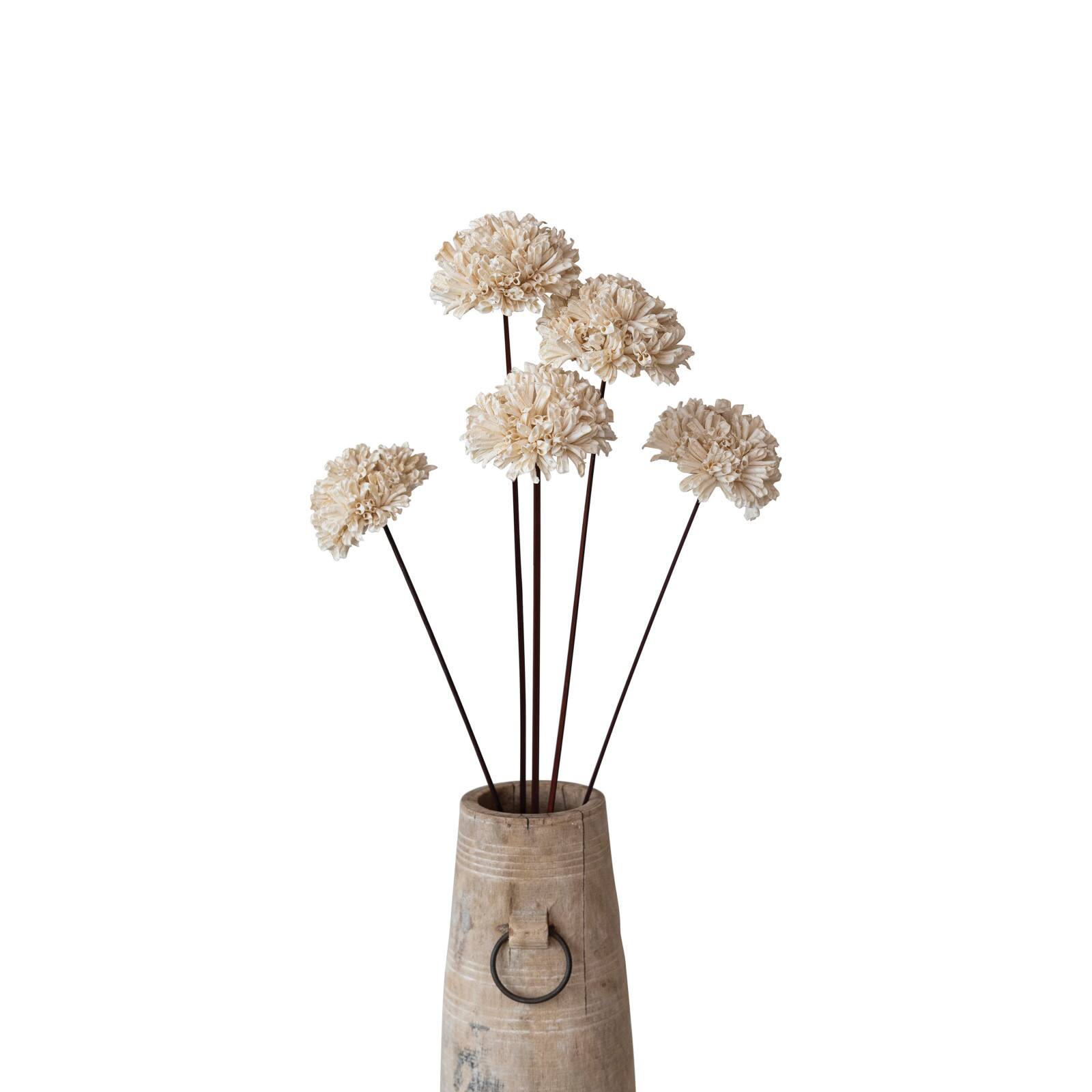 Hello Honey® 23.5" Dried Natural Sesame Flower Stems
