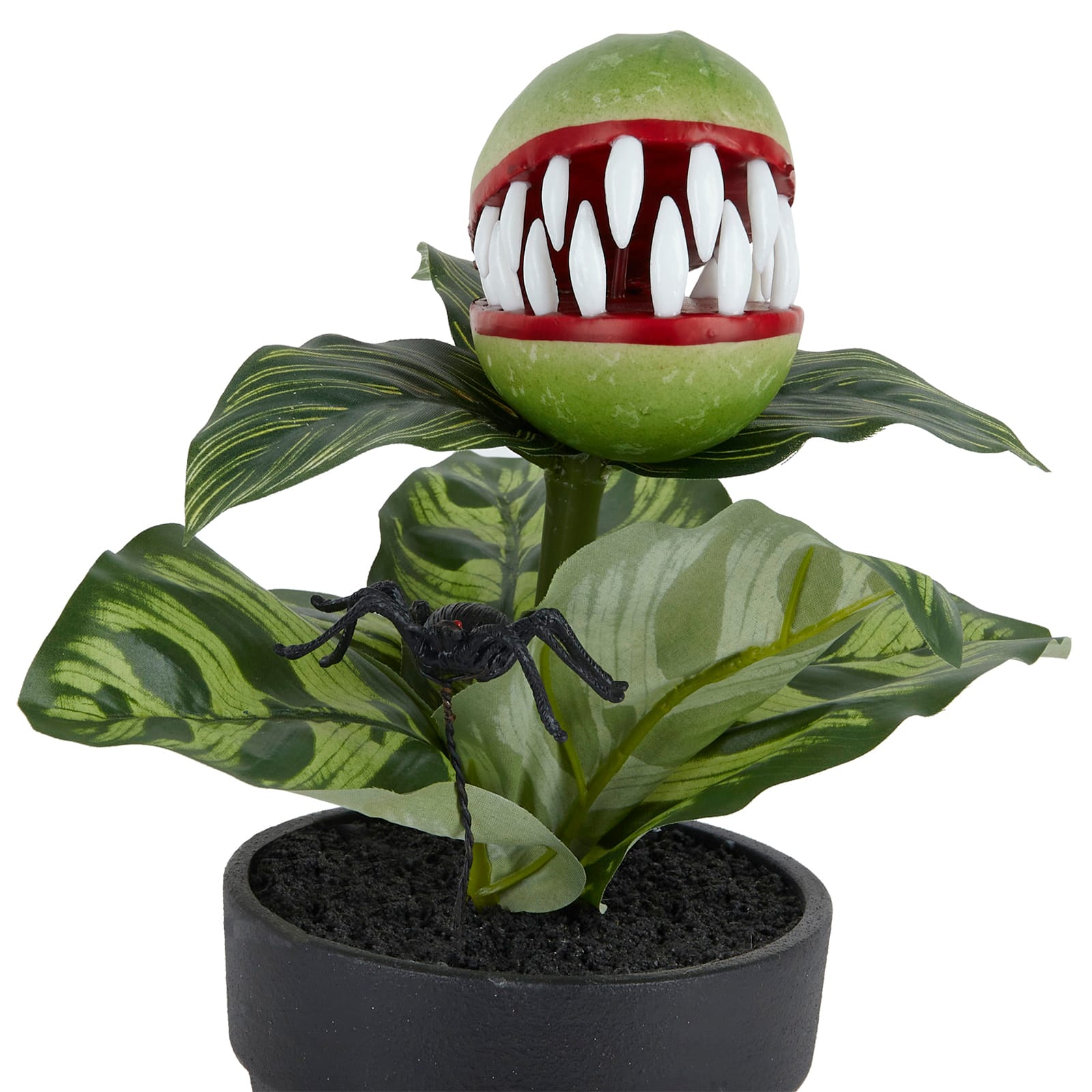 14" Potted Venus Flytrap & Spider by Ashland®