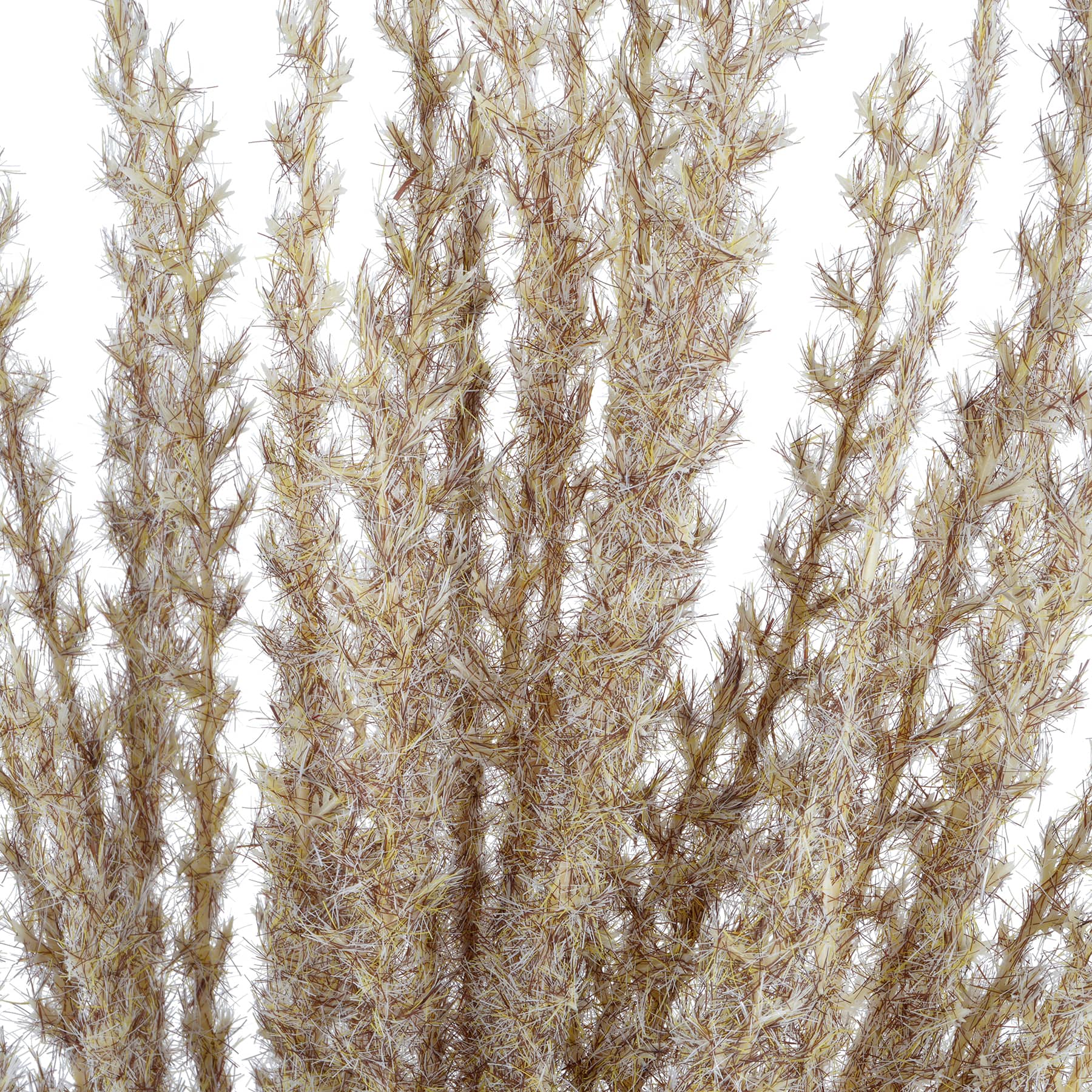 31" Light Brown Pampas Grass Stem by Ashland®