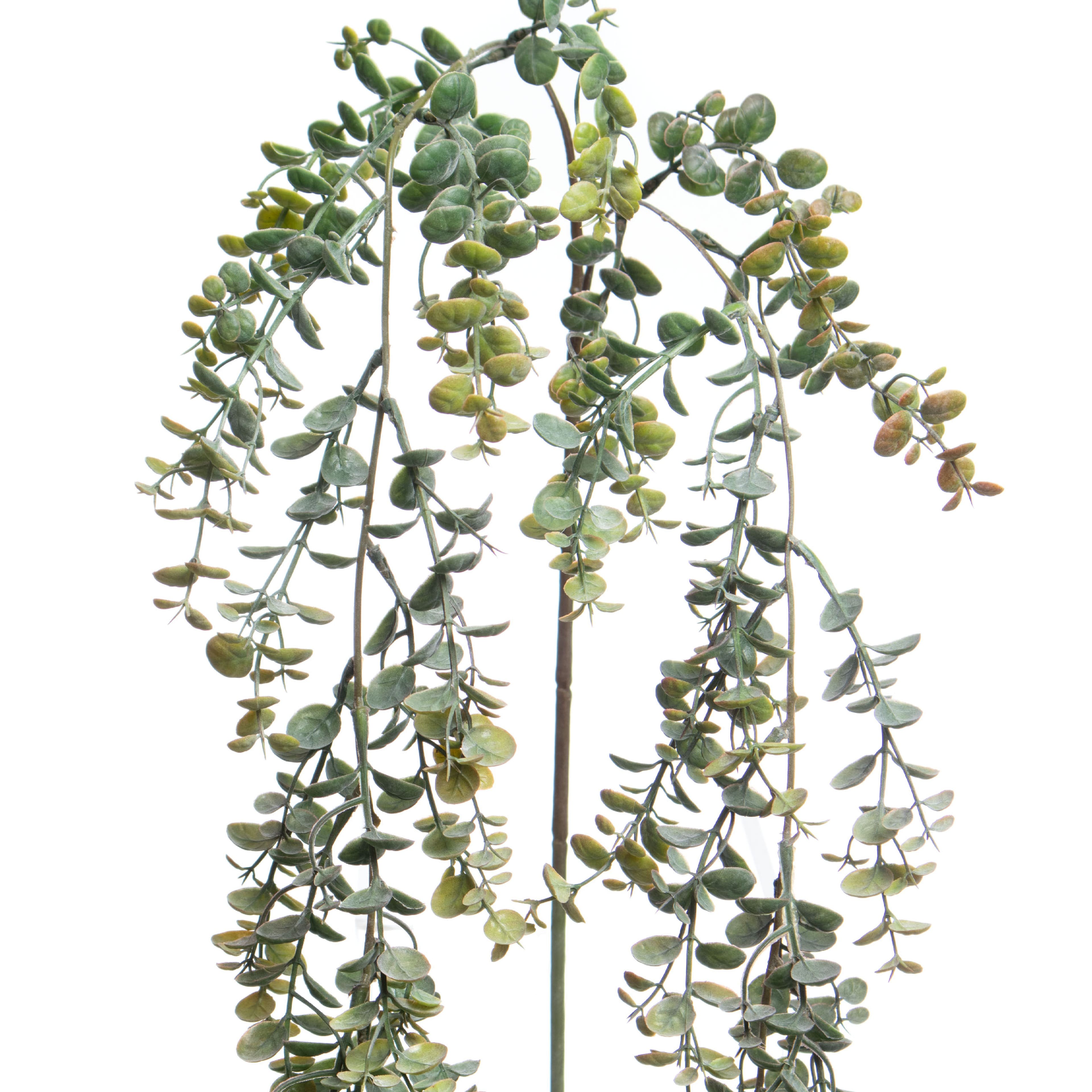 22" Green Hanging Eucalyptus by Ashland®