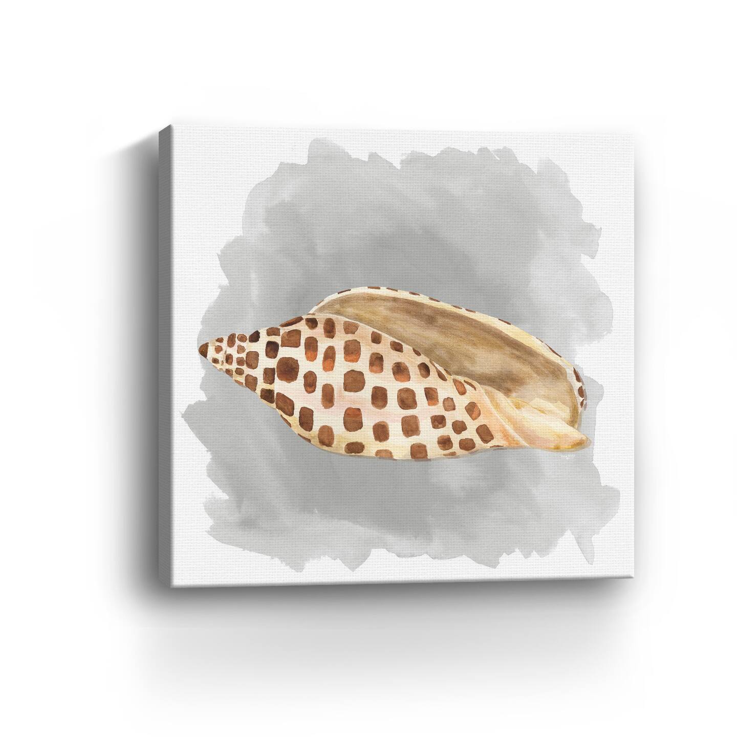 Shells On Grey I Canvas Giclee